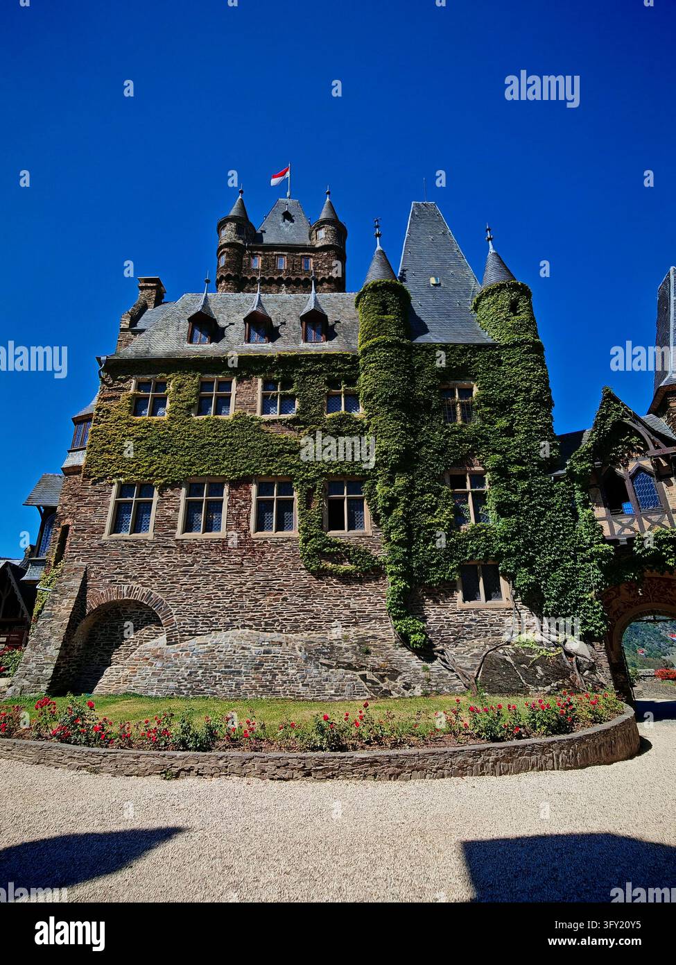 Facciata maestosa del castello medievale di Reichsburg Cochem con mura di pietra ricoperte di edera, guglie, bandiera e giardino di rose in Germania. Foto Stock