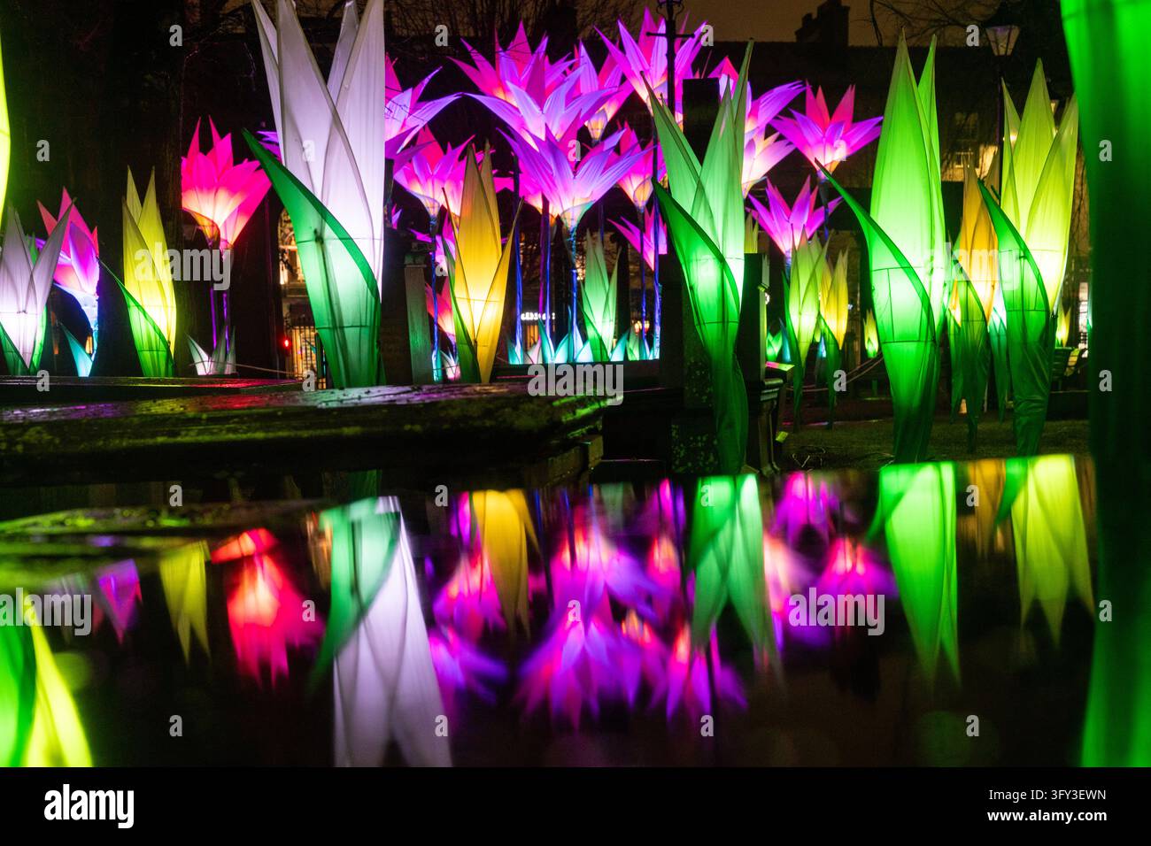 Installazioni luminose al festival della luce Spectra, Aberdeen, Scozia, Regno Unito Foto Stock
