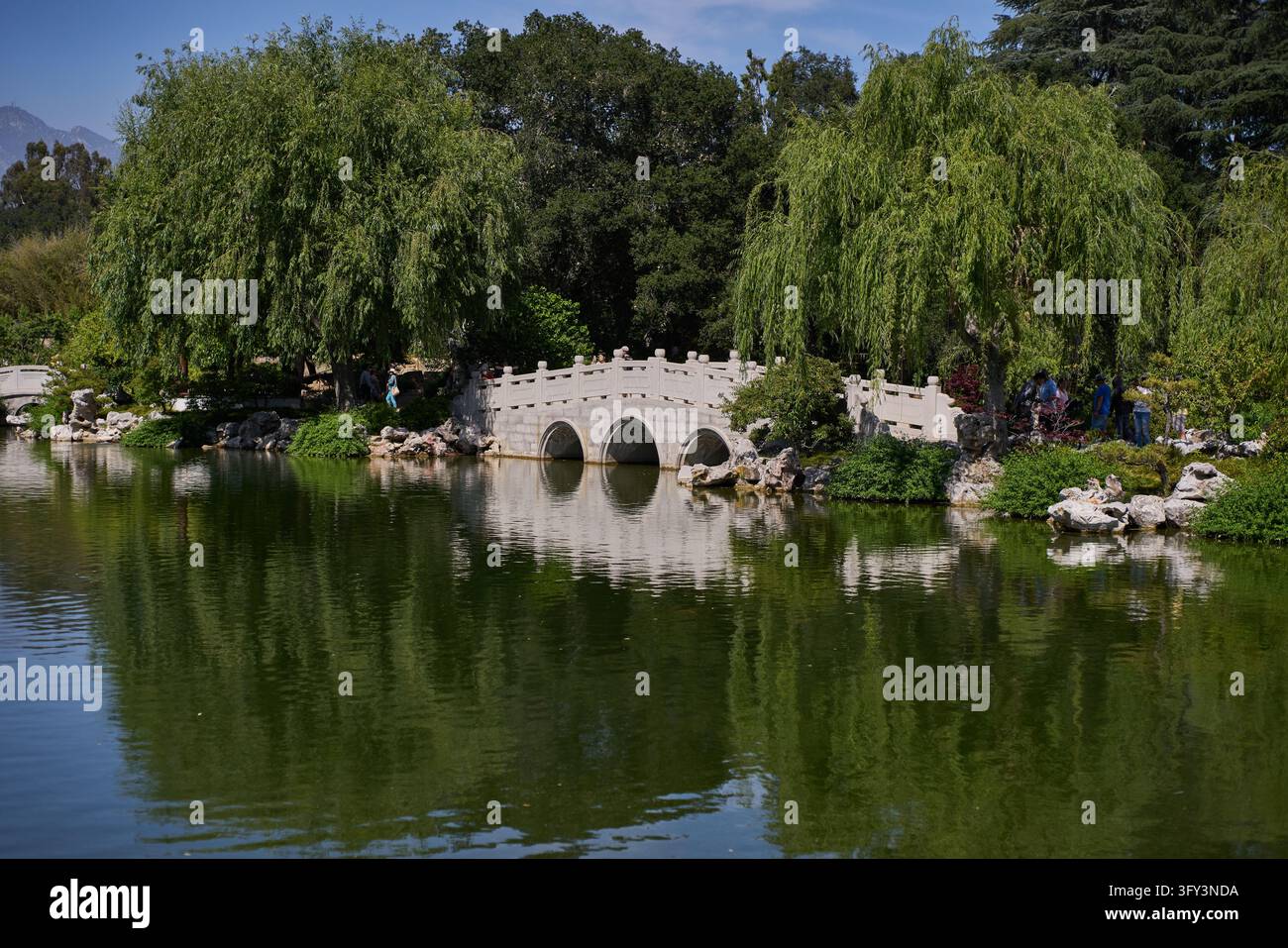 Un ponte ad arco in pietra che attraversa il lago nel Giardino cinese Foto Stock