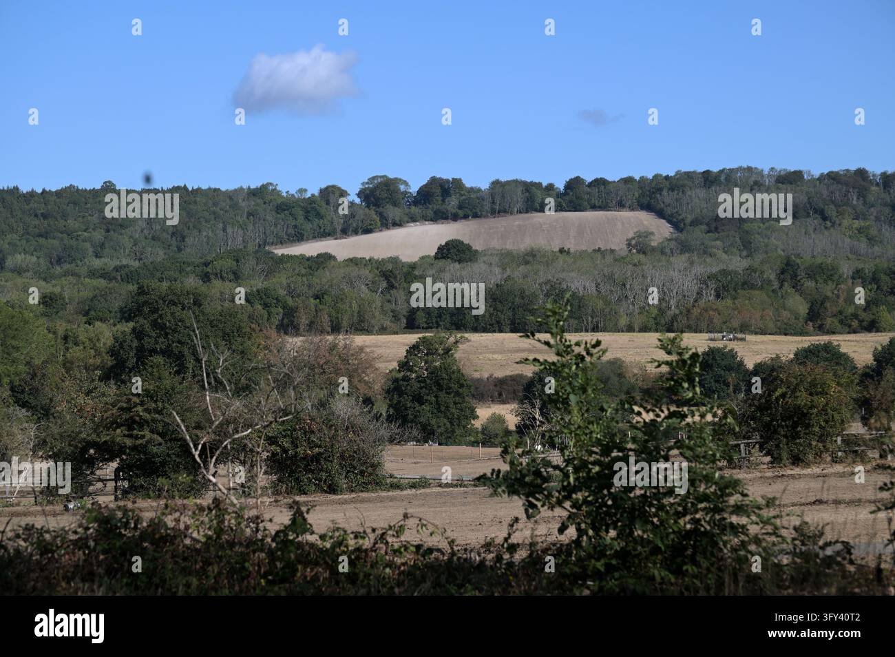 Vista attraverso alberi e campi aridi verso i North Downs vicino a Oxted, Surrey, Regno Unito, 22 agosto 2026 Foto Stock