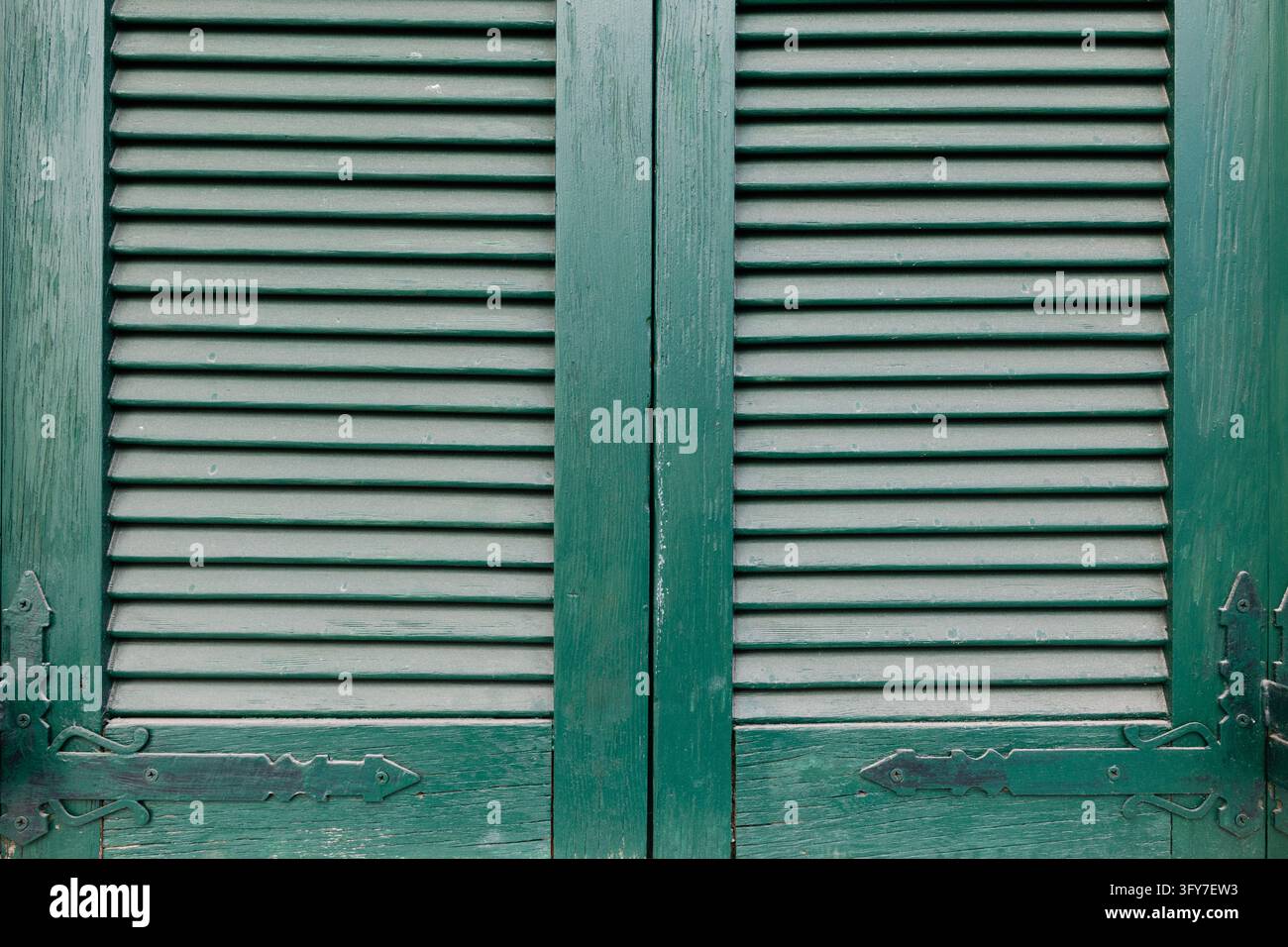 Prima vista di persiane in legno verde vibrante, che mostrano una texture rustica, simmetria geometrica e un colore mediterraneo audace. Foto Stock