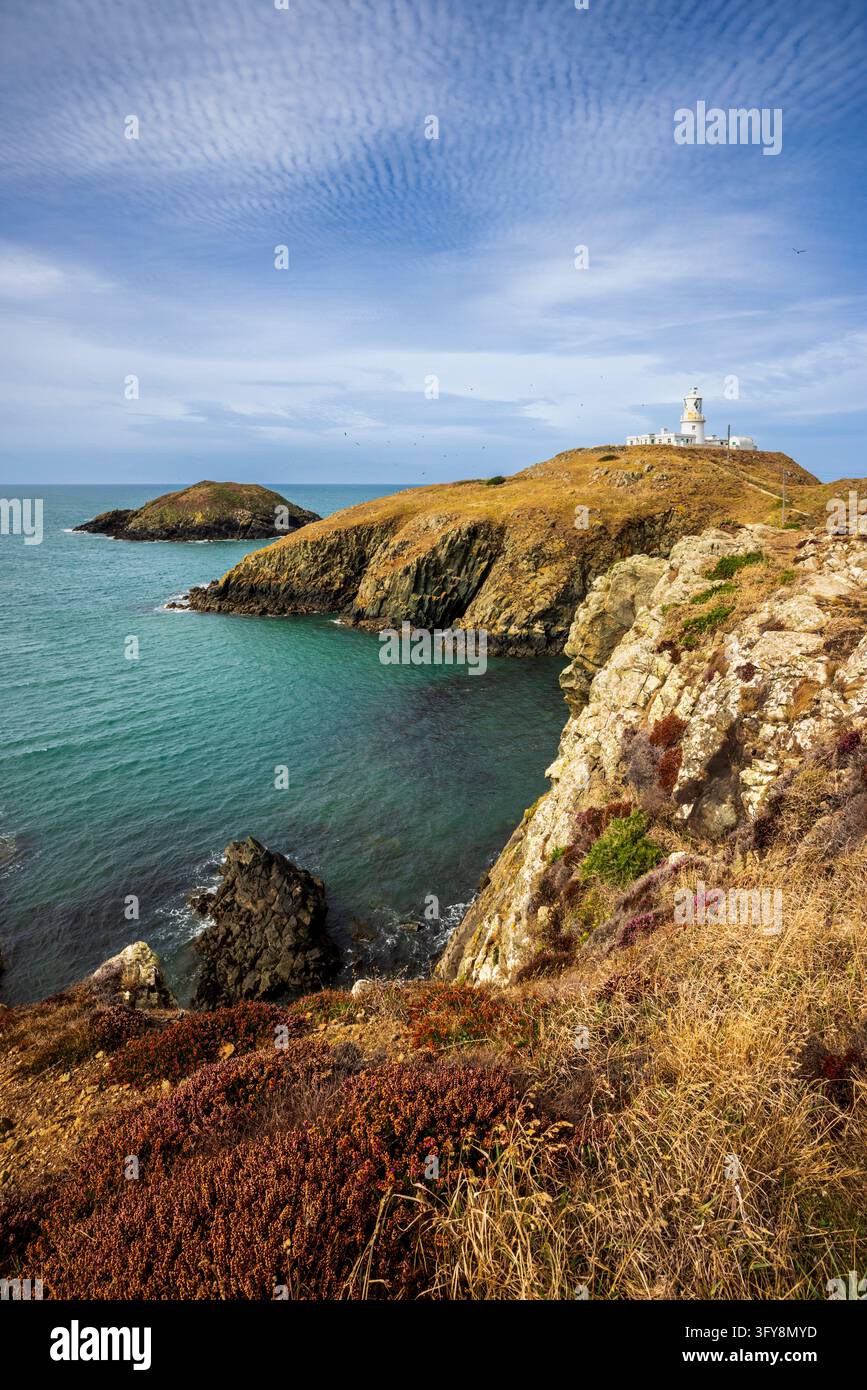 Faro di Strumble Head sulla costa di Pembrokeshire, Galles del Sud Foto Stock