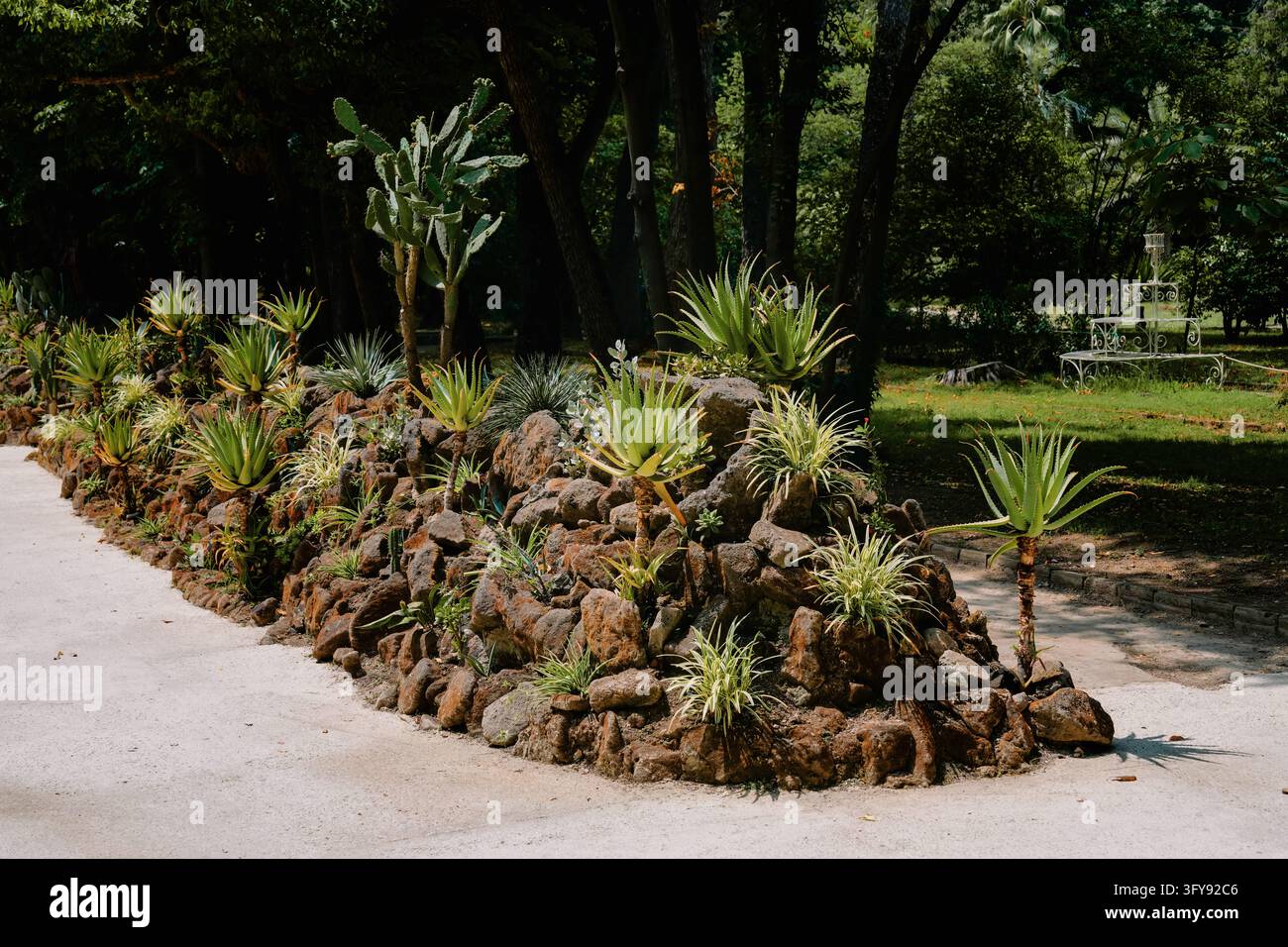 Caserta, Italia - 18 giugno 2025: Giardino roccioso con aloe e cactus opuntia Foto Stock