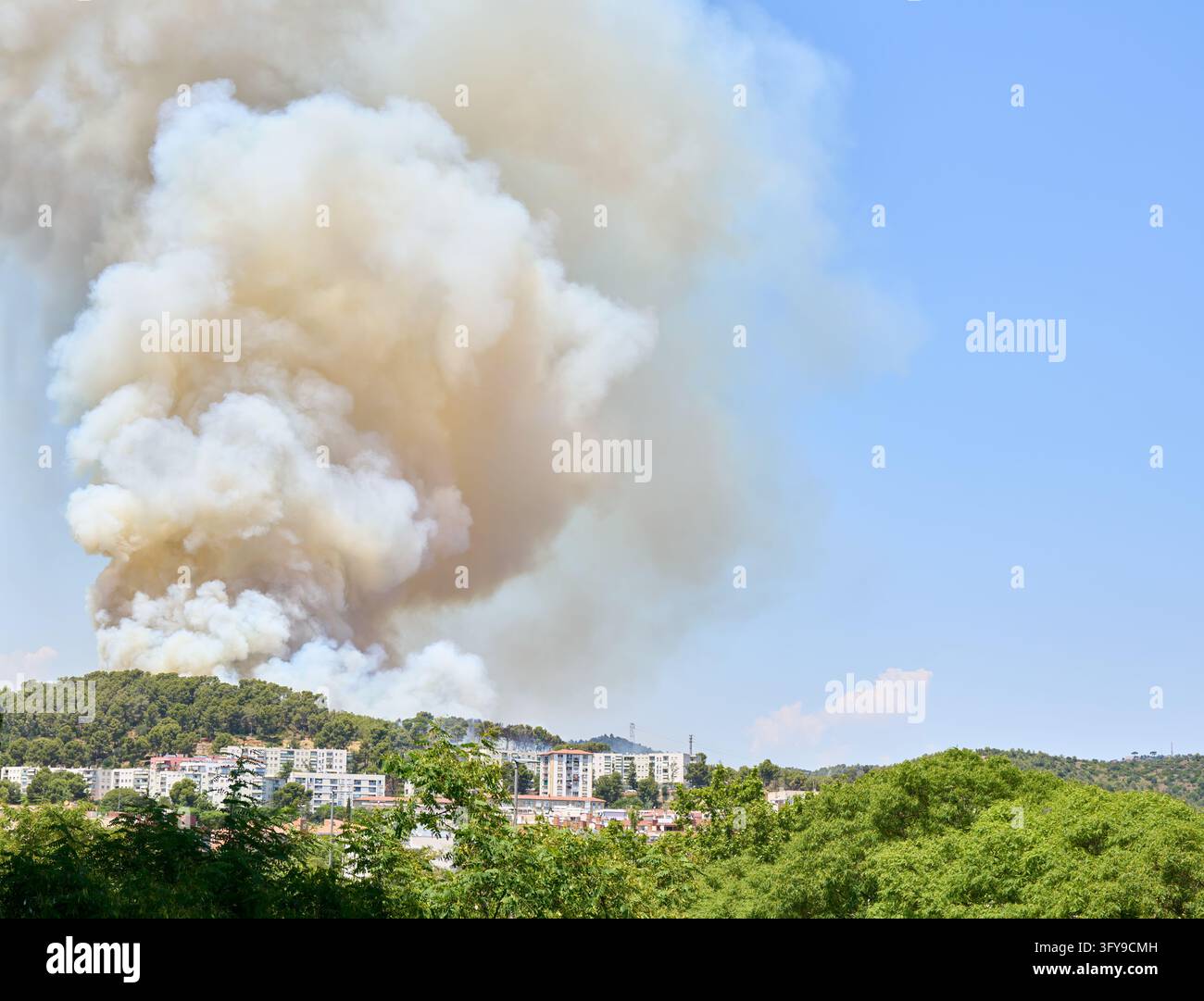 Incendio selvatico e urbano, fiamme e ambiente, bruciatura e natura con fumo, foresta e emergenza. All'aperto, vuoto e boschi con alberi, paesaggio e risorgimento Foto Stock