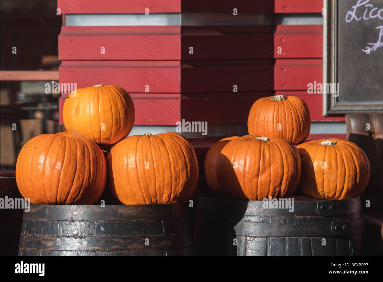 Gruppo di zucche arancioni disposte su barili di legno rustici come decorazioni stagionali autunnali e di Halloween, che evocano un'atmosfera tradizionale di raccolto Foto Stock