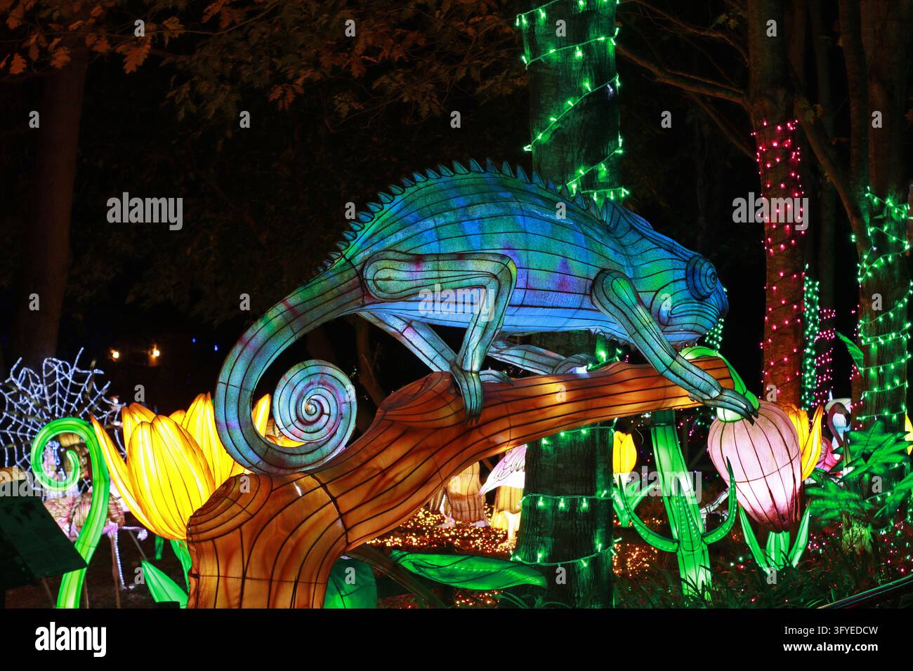Scultura di lanterna luminosa di un camaleonte blu e verde su un ramo con un fiore giallo accanto di notte. Adatta per festival della luce, zoo, rettili Foto Stock