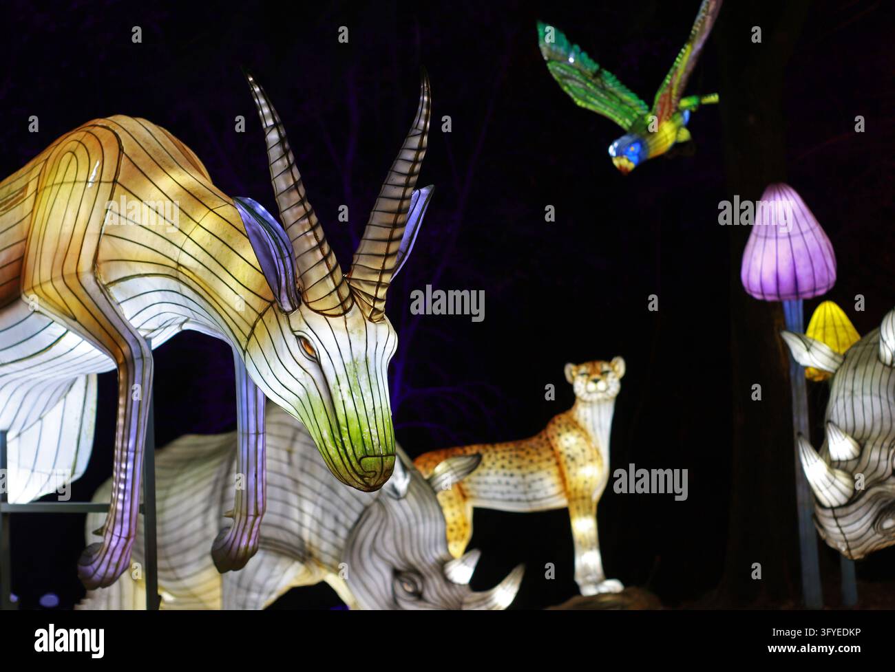 Sculture di lanterne luminose di un'antilope, di un ghepardo, di un rinoceronte, di una libellula e di funghi su uno sfondo notturno scuro. Adatte per festival di luce, zoo, safari Foto Stock