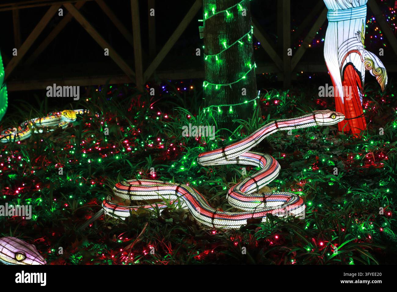 Figura di serpente illuminata tra l'erba con luci colorate verdi e rosse in un parco notturno. Adatta per festival della luce, zoo, rettili, fauna selvatica, intrattenimento Foto Stock