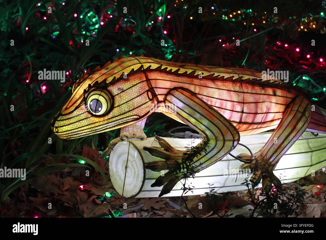 Scultura lanterna luminosa di una lucertola con strisce arancioni e gialle tra piante verdi e luci a filo di sera. Adatta per festival della luce, zoo, Foto Stock