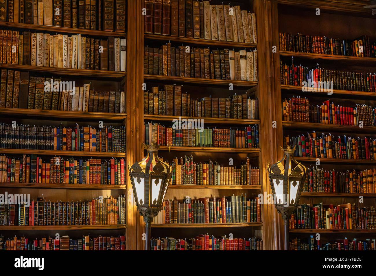 Libri nella biblioteca della Casa de Mateus, Vila Real, Portogallo. Foto Stock