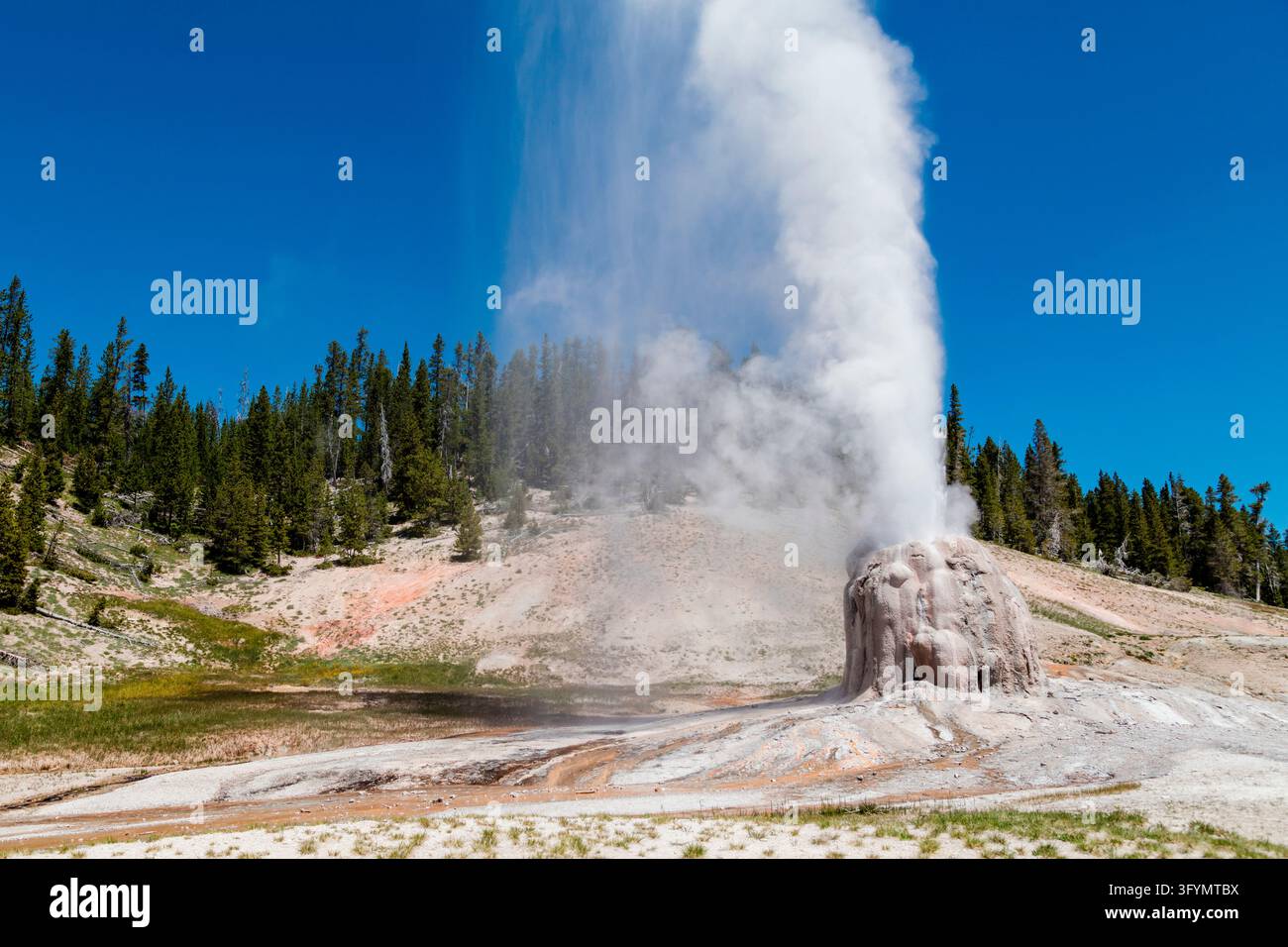 Una vista del geyser Lone Star circondato da depositi di sintere idrotermali in un pomeriggio luminoso e soleggiato nel Yellowstone National Park, Wyoming, USA. Il geyser Lone Star è un geyser a cono prominente situato vicino al fiume Firehole, riconosciuto per il suo distintivo e massiccio cono di sintere alto diversi metri. Vapore e vapore termale si alzano dolcemente dalla sua bocca nel cielo blu chiaro, con la foresta di pini circostante che incornicia il paesaggio geologico tranquillo. Una versione ottimizzata di un'immagine del US National Park Service. Credit: NPS / J Frank Foto Stock