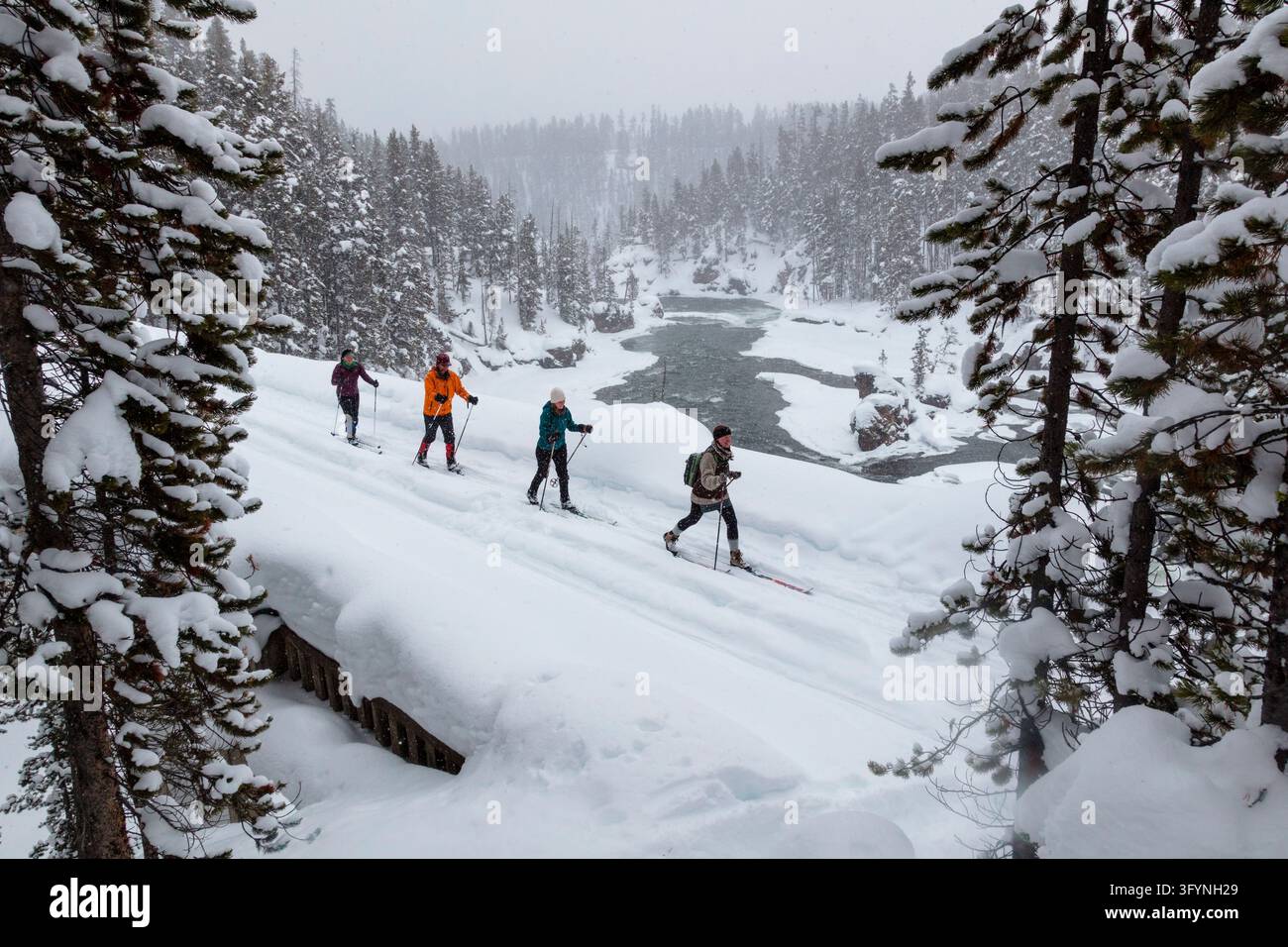Un fondista scivola lungo il sentiero Old Canyon Bridge coperto di neve nel parco nazionale di Yellowstone, USA. Il paesaggio carico di neve presenta vegetazione invernale, alberi sempreverdi e un sentiero ghiacciato che si snoda attraverso la natura selvaggia del parco. Attività ricreative invernali all'aperto come lo sci di fondo offrono ai visitatori un modo tranquillo per esplorare l'ambiente naturale ghiacciato e il paesaggio dei canyon fluviali di questo famoso parco nazionale del Nord America. Una versione ottimizzata di un'immagine del servizio dei parchi nazionali statunitensi. Credit: NPS / J Frank Foto Stock