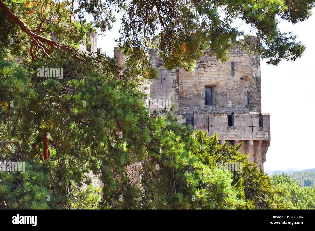 Castello di Warwick Foto Stock