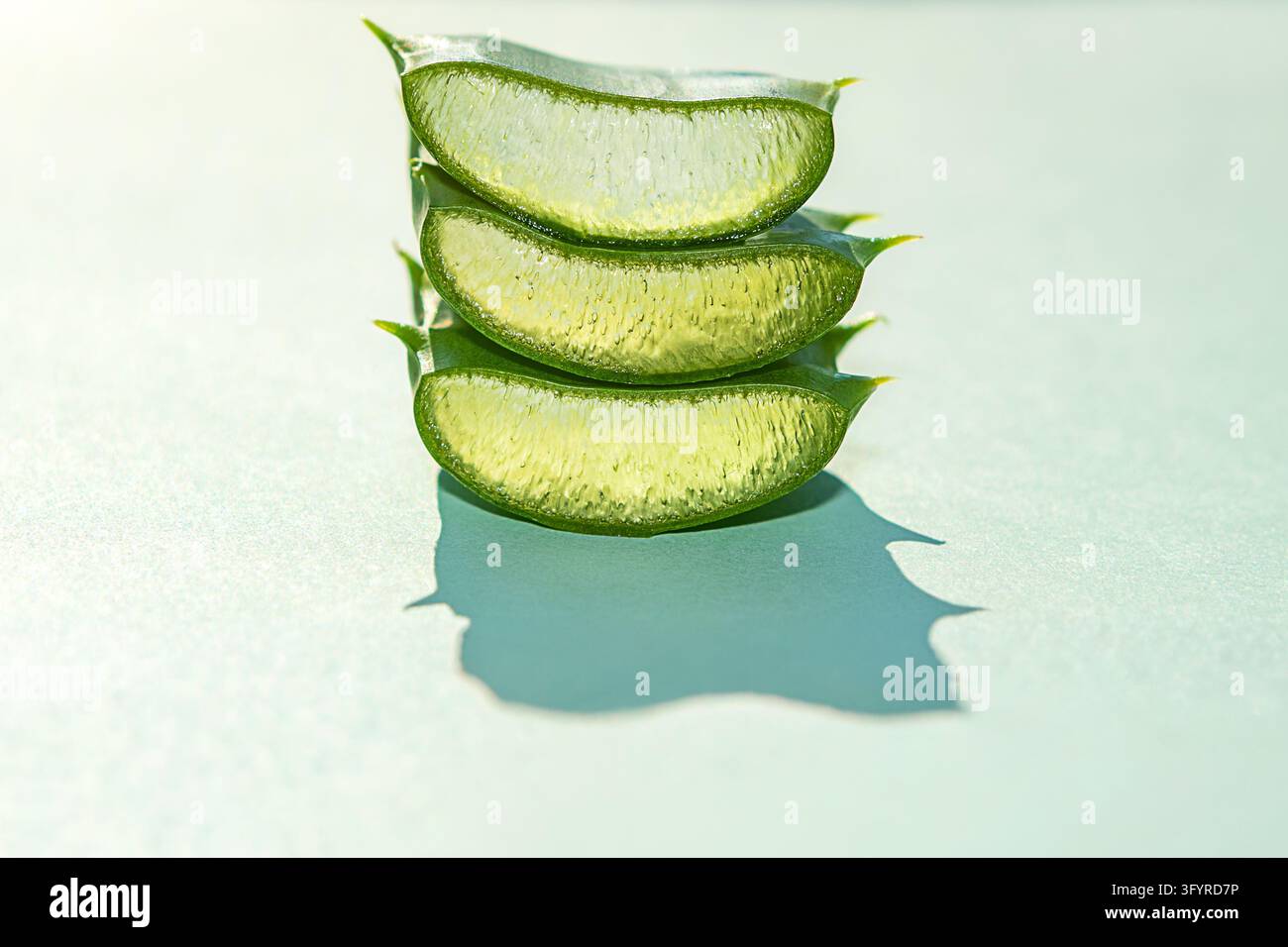 Fette di aloe vera mostrano gel fresco e ingredienti naturali per la cura della pelle alla luce del sole Foto Stock