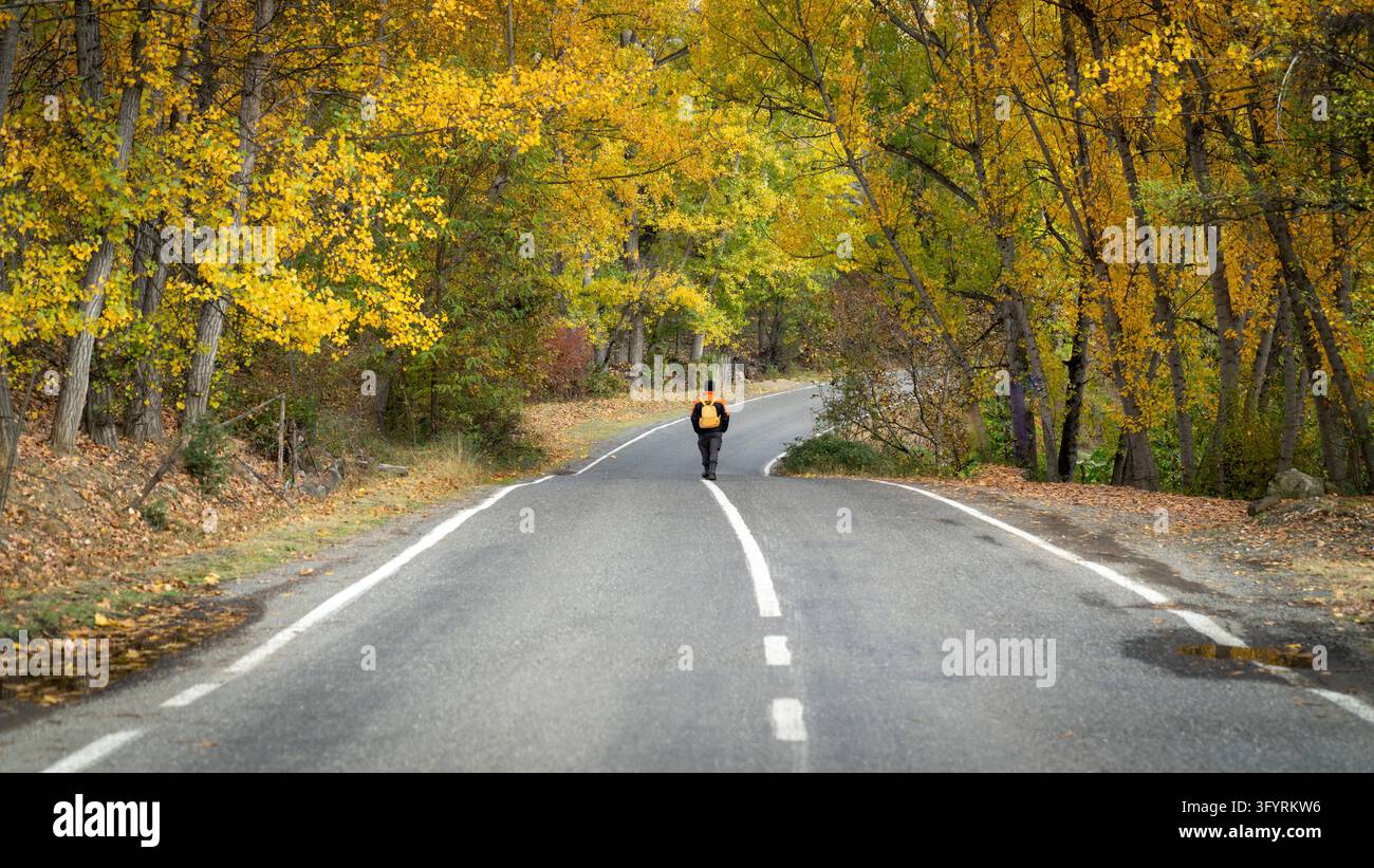 Artvin, Turchia – 30 ottobre 2021: Escursionista solitario con uno zaino arancione che cammina lungo una strada tranquilla attraverso una foresta autunnale gialla nella campagna di Artvin, nord-est Foto Stock