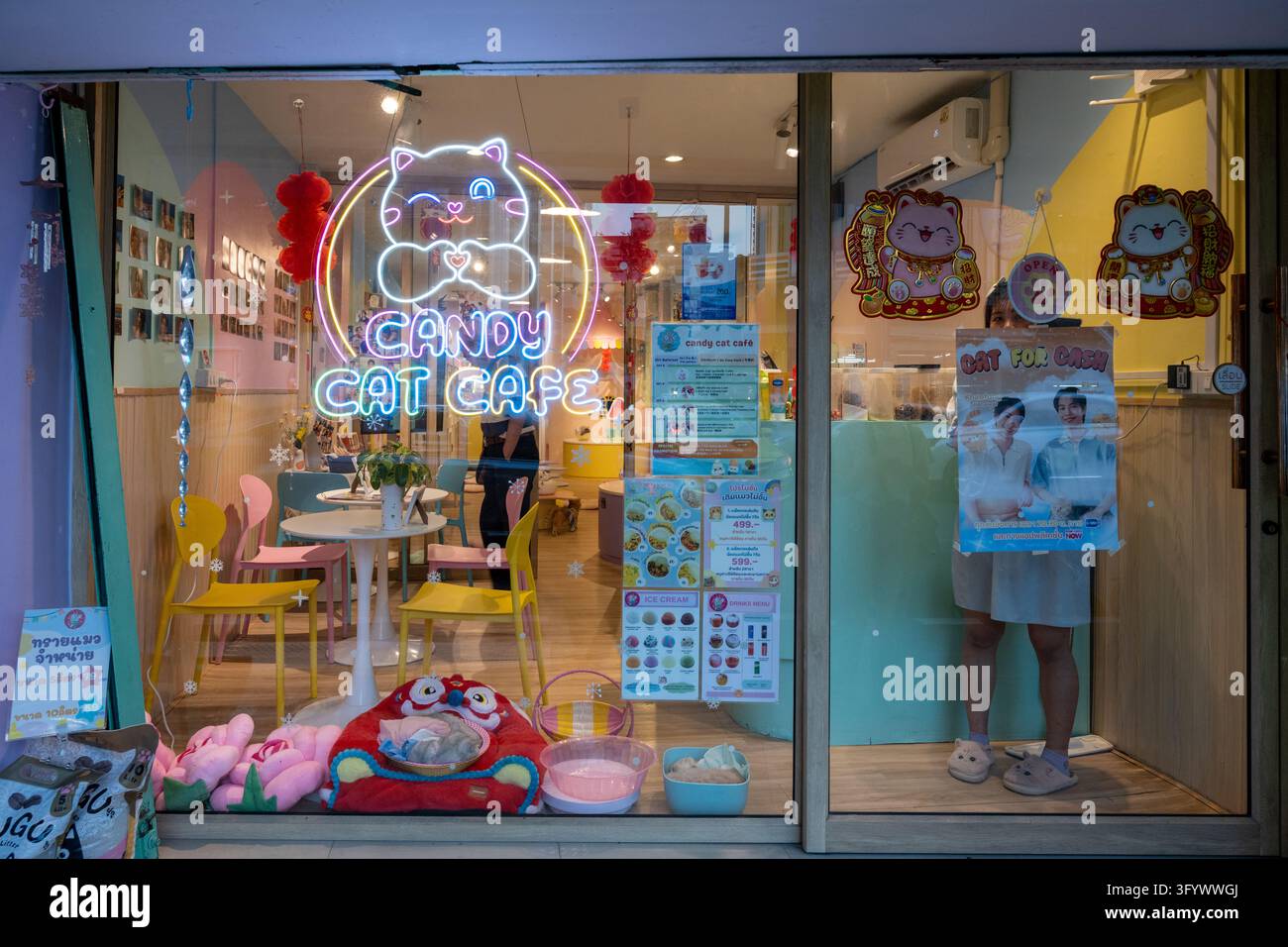 Villaggio di Chatumit, Bangkok, Thailandia — 3 febbraio 2026. La vetrina del Candy Cat Cafe mostra lettere al neon, gatti fortunati illustrati, menu e colore Foto Stock