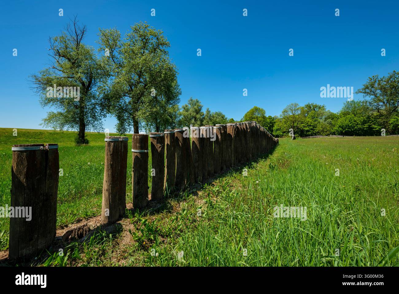 Pali di legno si snodano attraverso un prato verde vicino alla fossa comune di Vrbe al memoriale di Jasenovac a Donja Gradina con alberi. Foto Stock