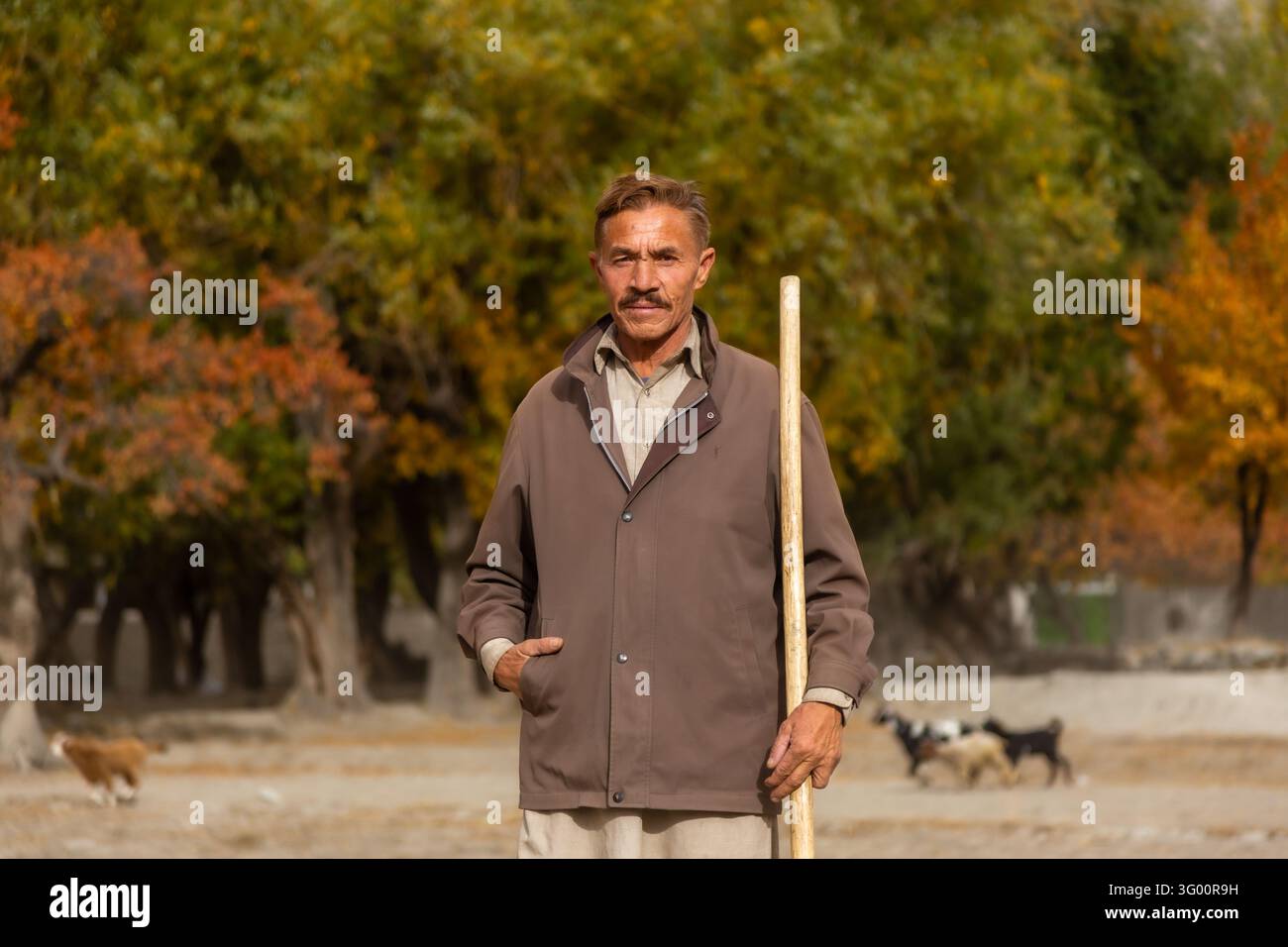 Khaplu, Gilgit Baltistan, Pakistan – 02 novembre 2024: Vista di un uomo che tiene un bastone di legno in un campo con alberi autunnali e capre sullo sfondo. Foto Stock