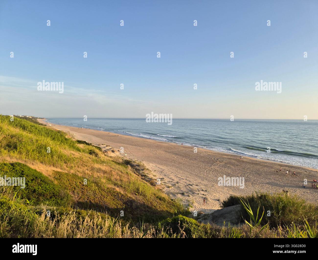 Erba delle dune sopra una lunga spiaggia di sabbia deserta e un Atlantico calmo, Playa de la Barrosa, Chiclana de la Frontera, Costa de la Luz, Spagna, giugno 2026 - Immagine stock catturata con smartphone
