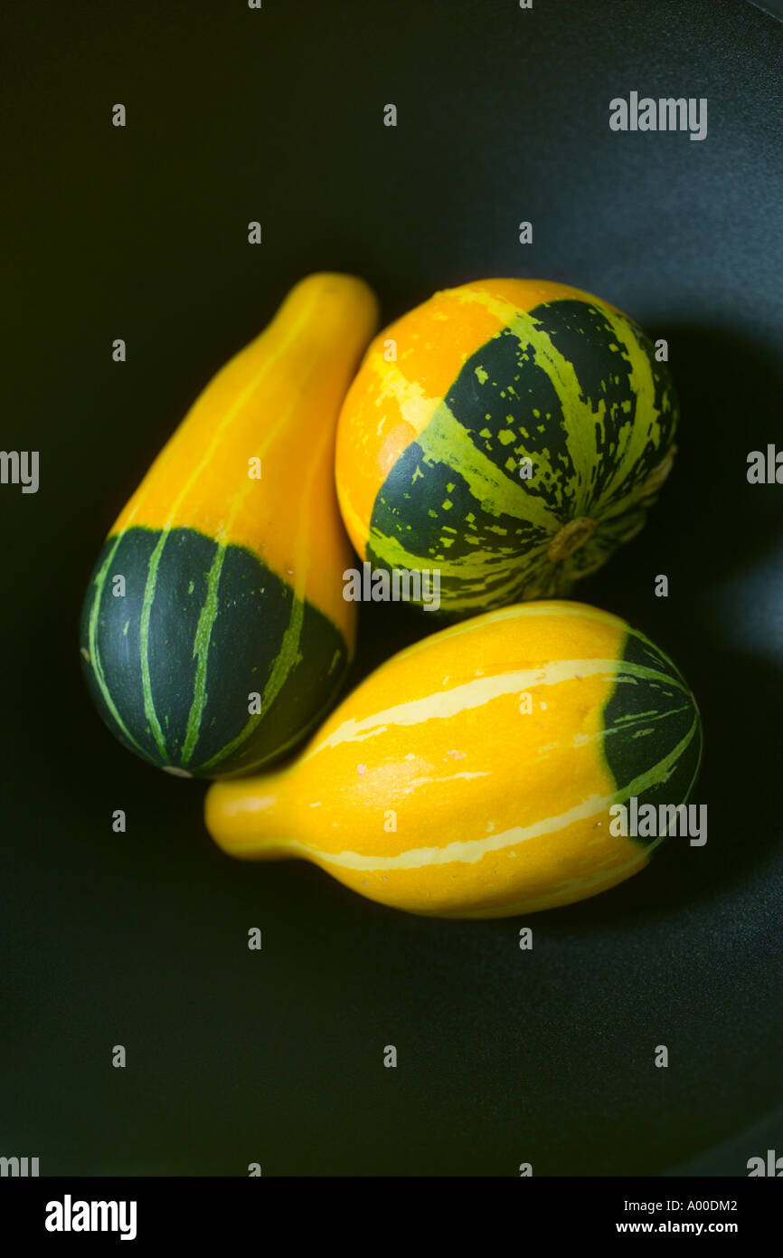 Autunno zucche di raccolta in vaso nero Foto Stock