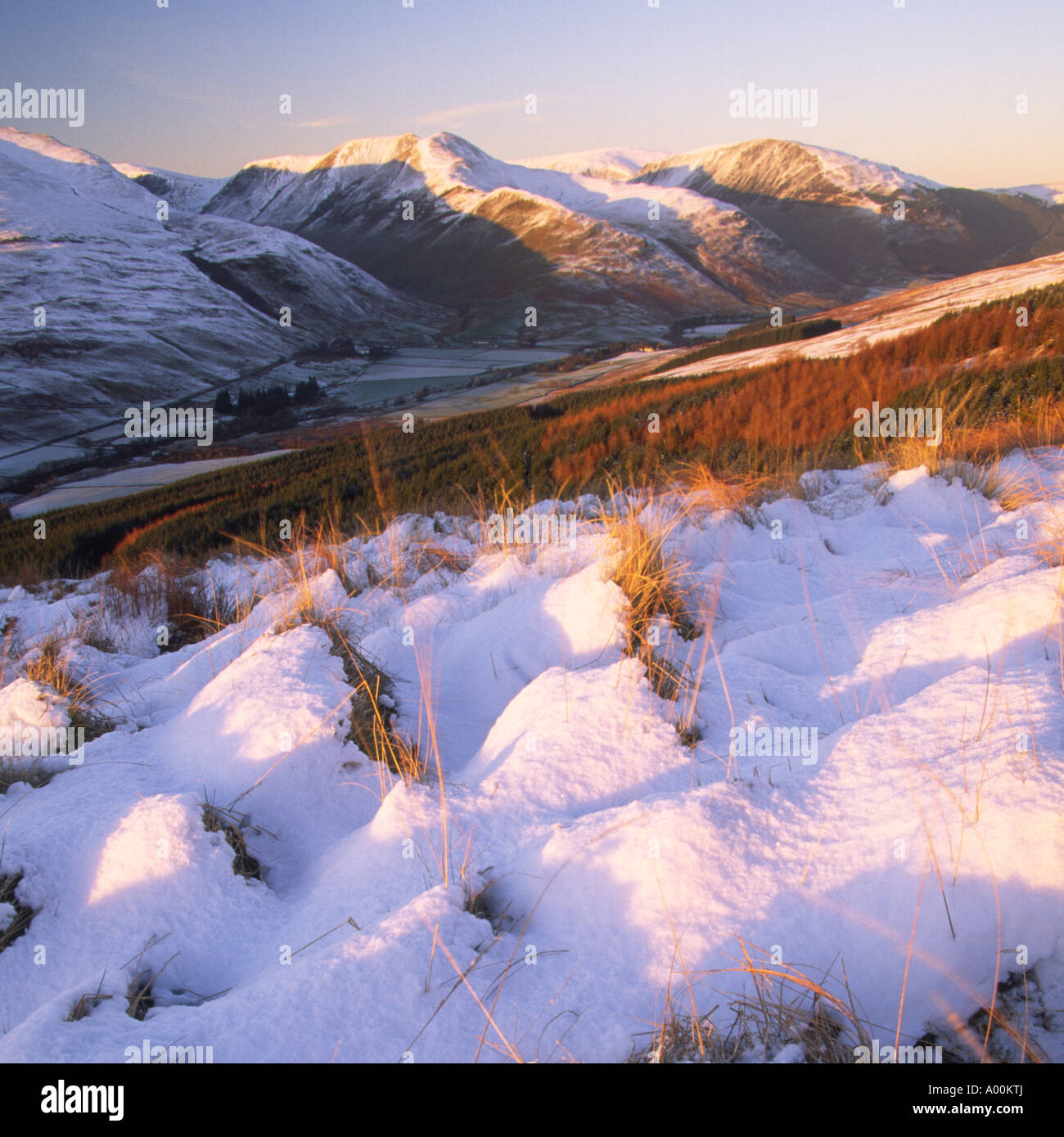 Paesaggio Di Inverno vicino al tramonto guardando attraverso Moffat Dale al coperto di neve sulle colline a Moffat Scozia UK Foto Stock