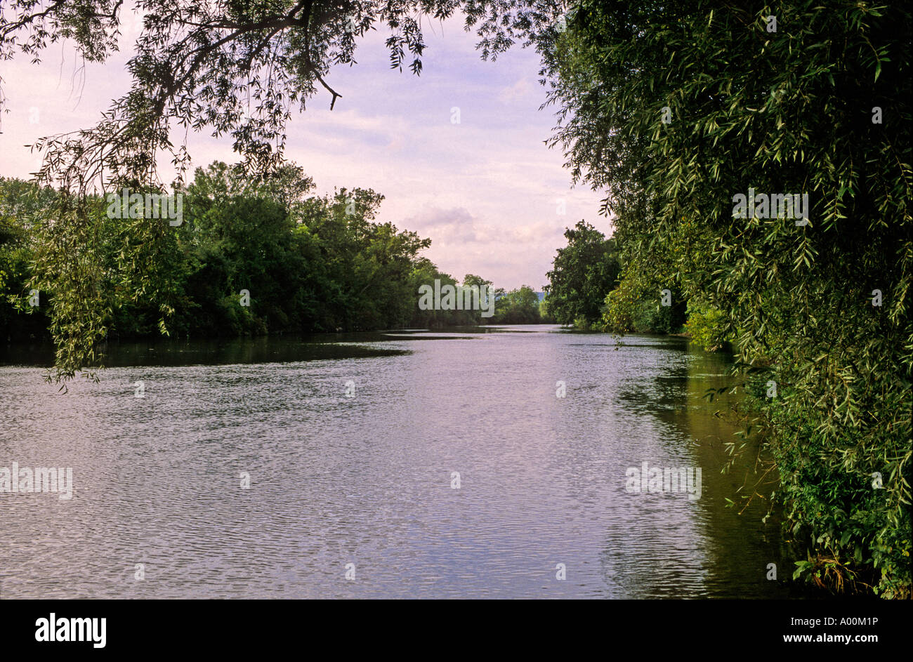 Paesaggio del Fiume Senna PARISIAN BASSIN PARIGI FRANCIA Foto Stock