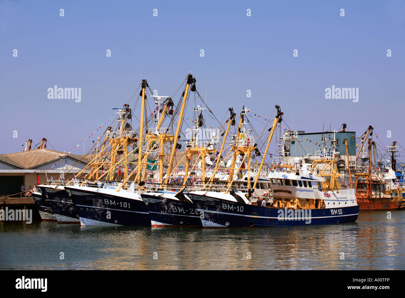 Regno Unito brixham devon UN FESTIVAL DI PESCA Foto Stock