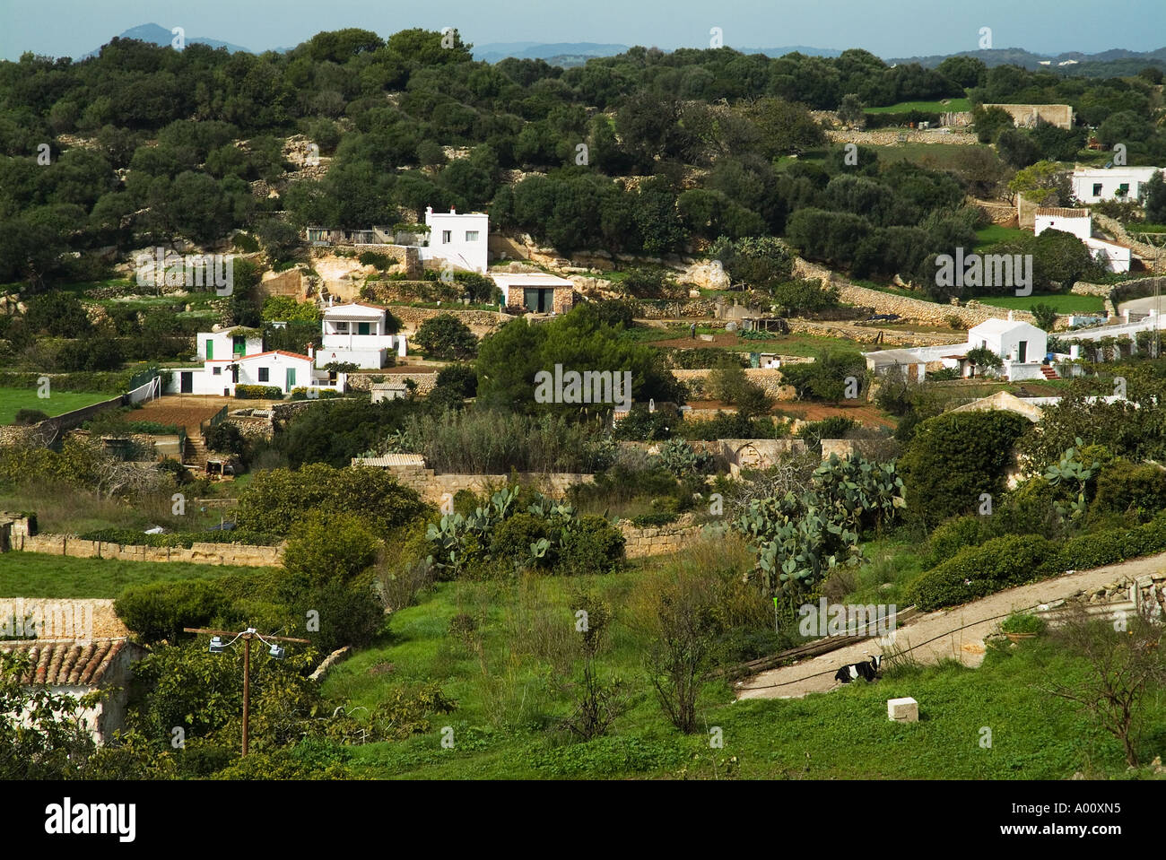 Dh ALAYOR Minorca paesaggio rurale attorno alla città di piccola agricoltura i campi e le case Foto Stock