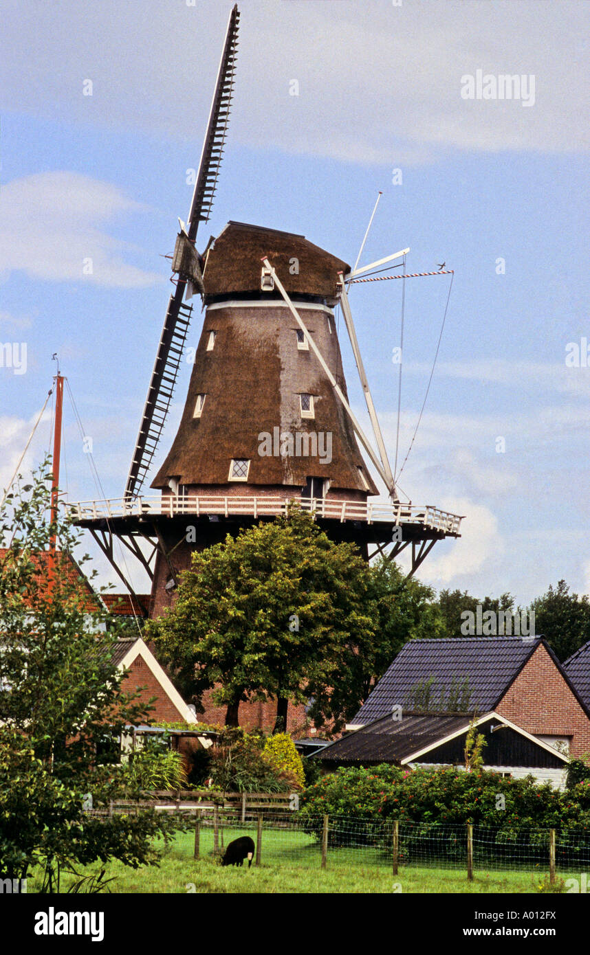 Il mulino a vento di Groningen nei Paesi Bassi Foto Stock