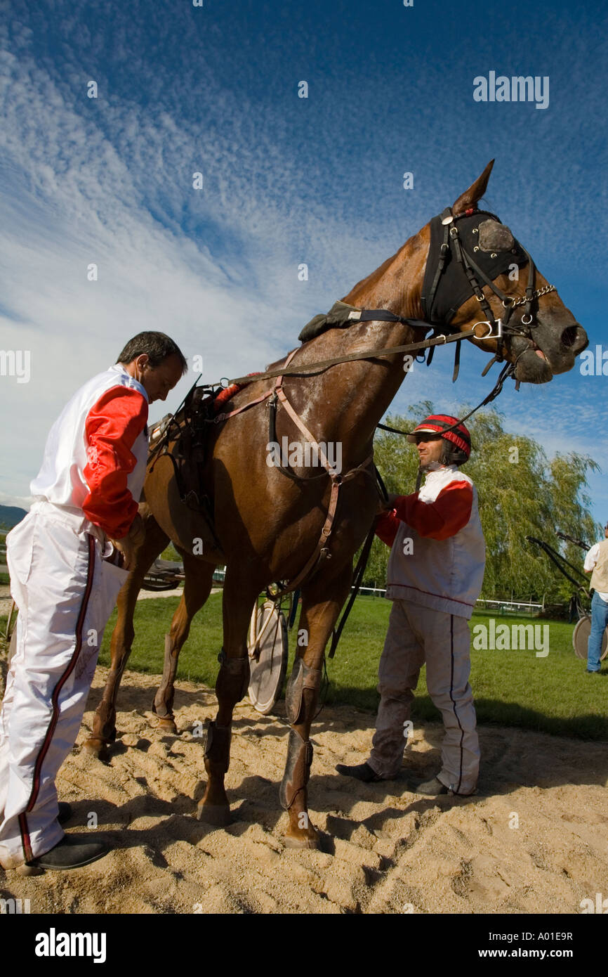 Trotto con un cavallo durante la riunione di Divonne Les Bains Foto Stock