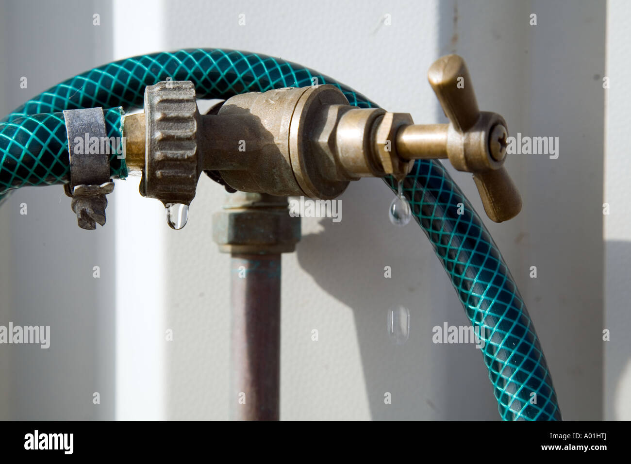 Spreco di acqua via perde il gocciolamento tubo flessibile tocca Foto Stock