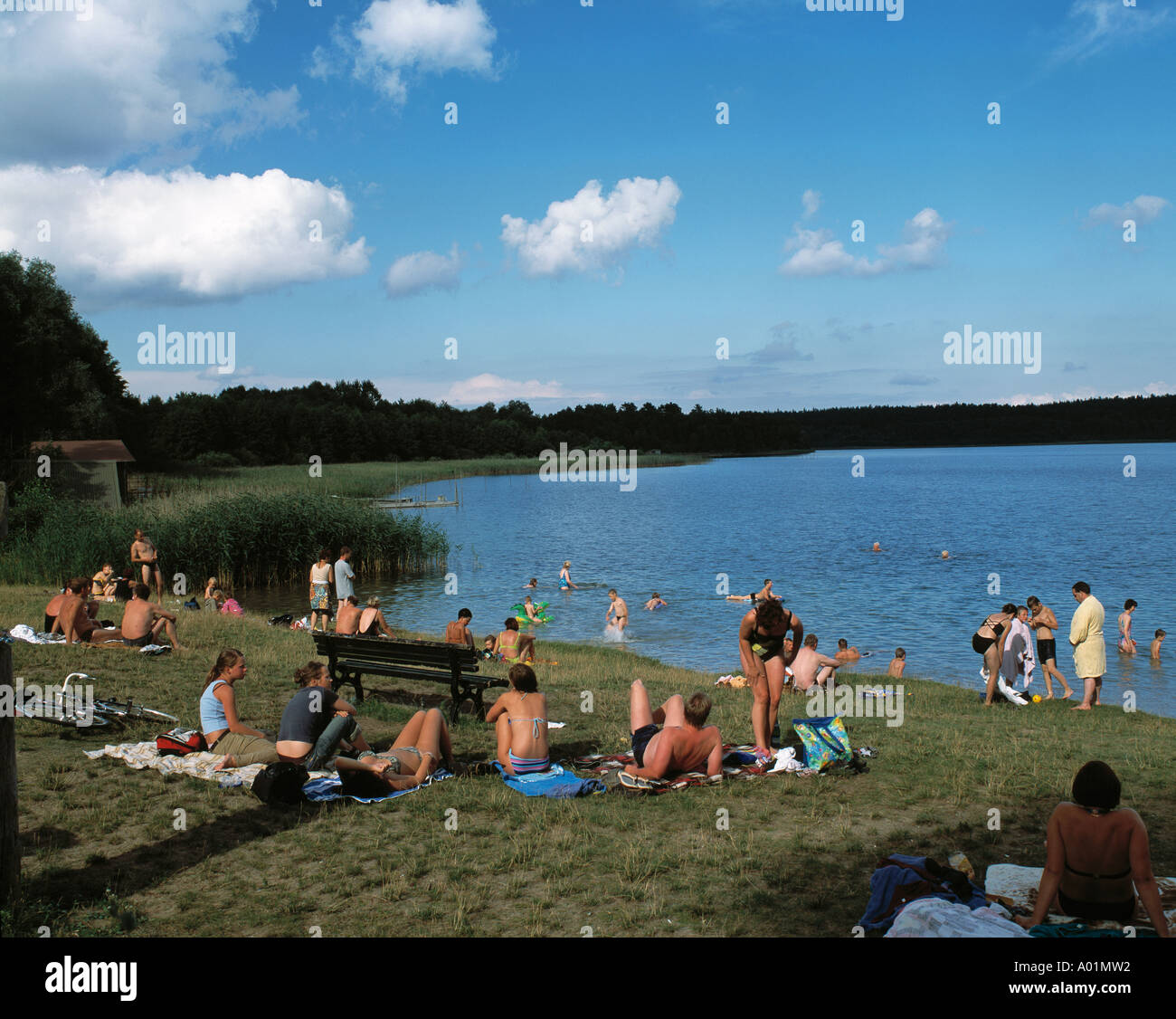 D-Neustrelitz, D-Neustrelitz-Fuerstensee, Mecklenburg laghi, Mueritz national park, Meclemburgo-Pomerania, Grande Lago Fuerstensee, prendere il sole Foto Stock