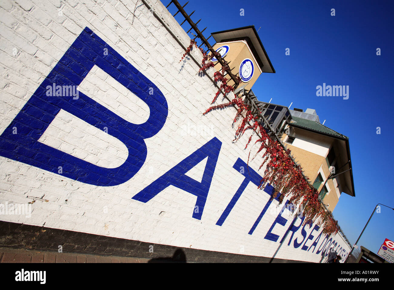 Regno unito Londra battersea i famosi cani e gatti home Foto Stock