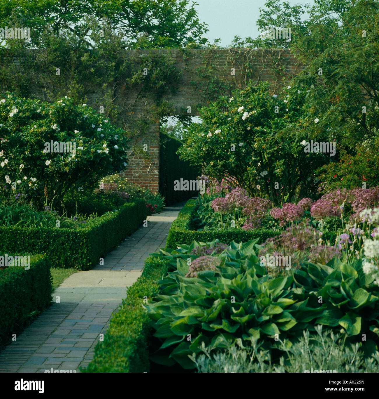Paese walled garden con percorsi attraverso la casella di basso-refilato letti con Allium Foto Stock