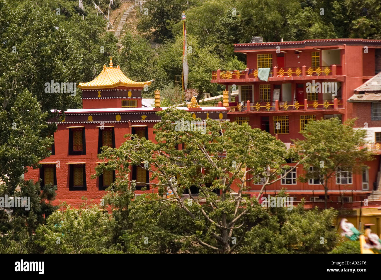 Drikung Kagyu monastero a Tso Zgei lago Revalsar India Foto Stock