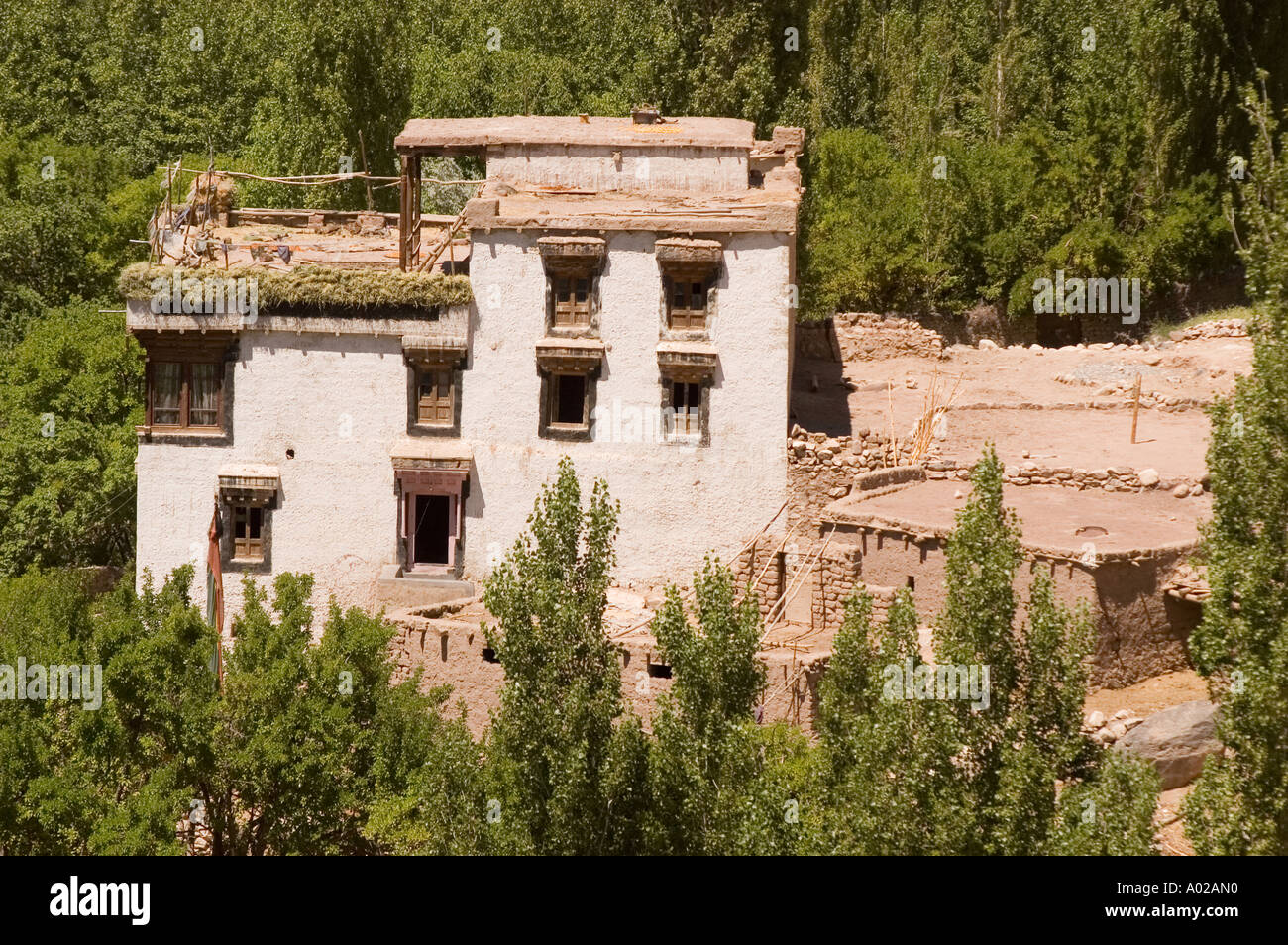 Grande edificio tradizionale a conduzione familiare nel villaggio di Basgo, Ladakh, India, che presenta architettura himalayana e finestre in legno in una lussureggiante valle verde. Foto Stock
