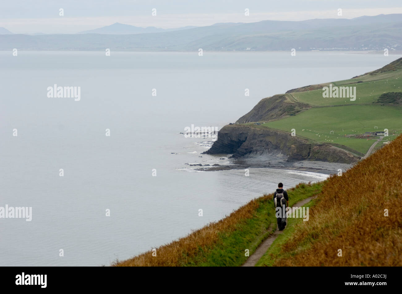Passeggiate con il Ceredigion sentiero costiero da Aberystwyth verso nord per Clarach con la costa del Galles del Nord a distanza, REGNO UNITO Foto Stock