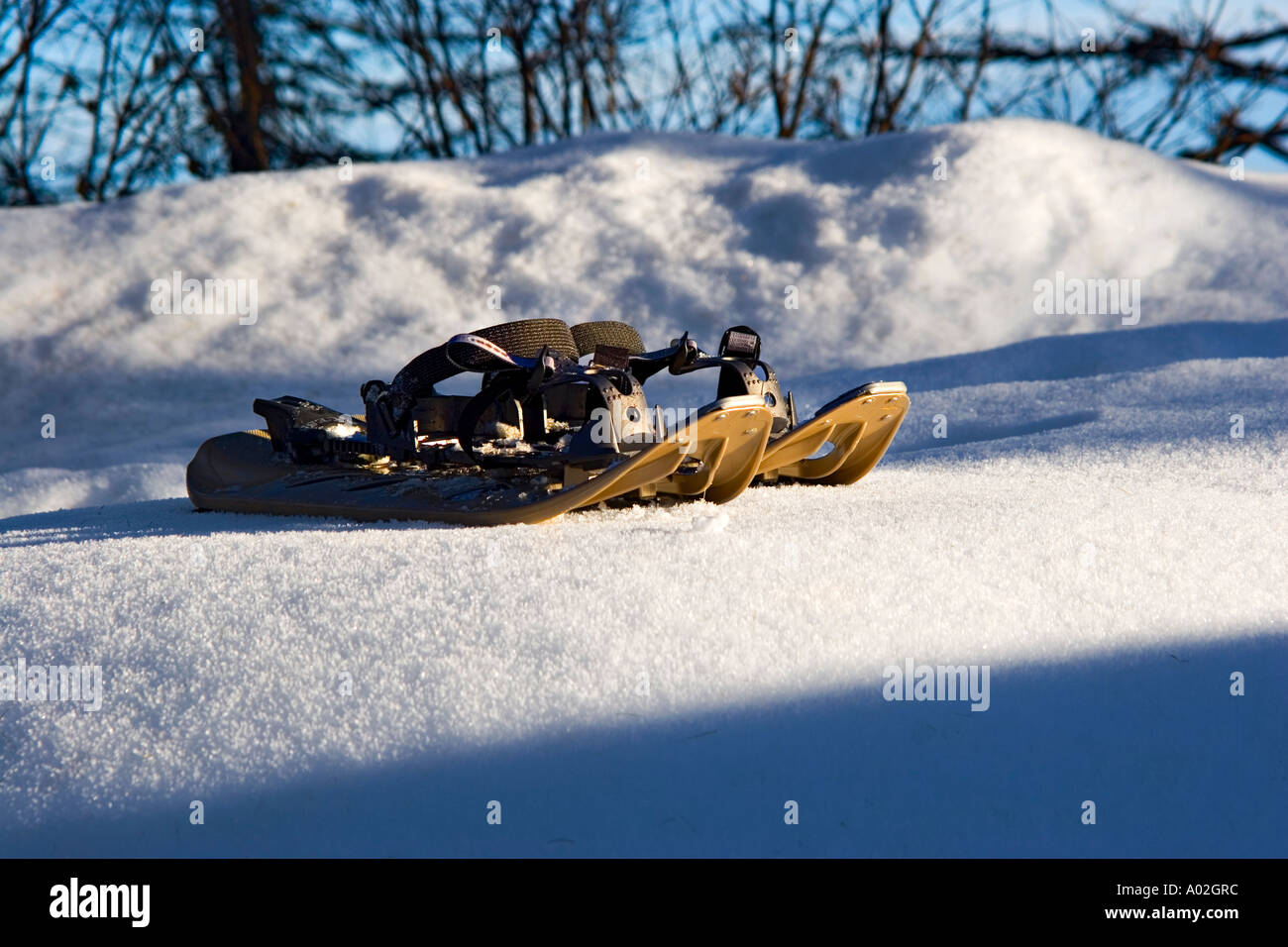 Racchette da neve i colori dell'inverno Ciaspole rachette da neve Foto Stock