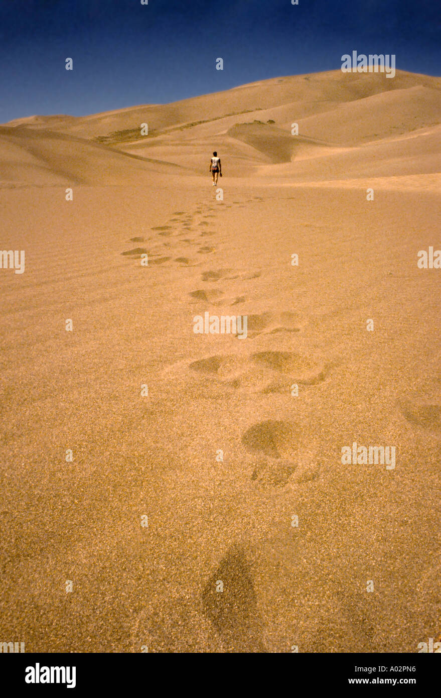 Impronte di un uomo a piedi nel deserto Foto Stock