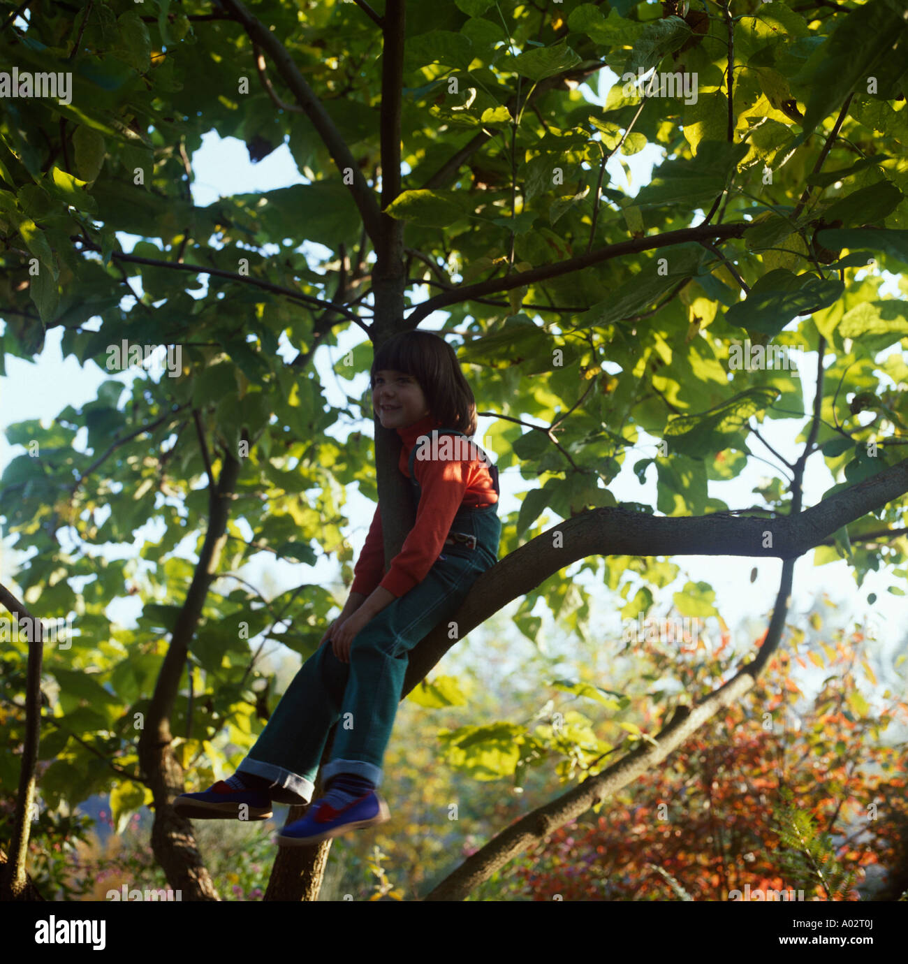 Piccola ragazza sale su un albero Foto Stock
