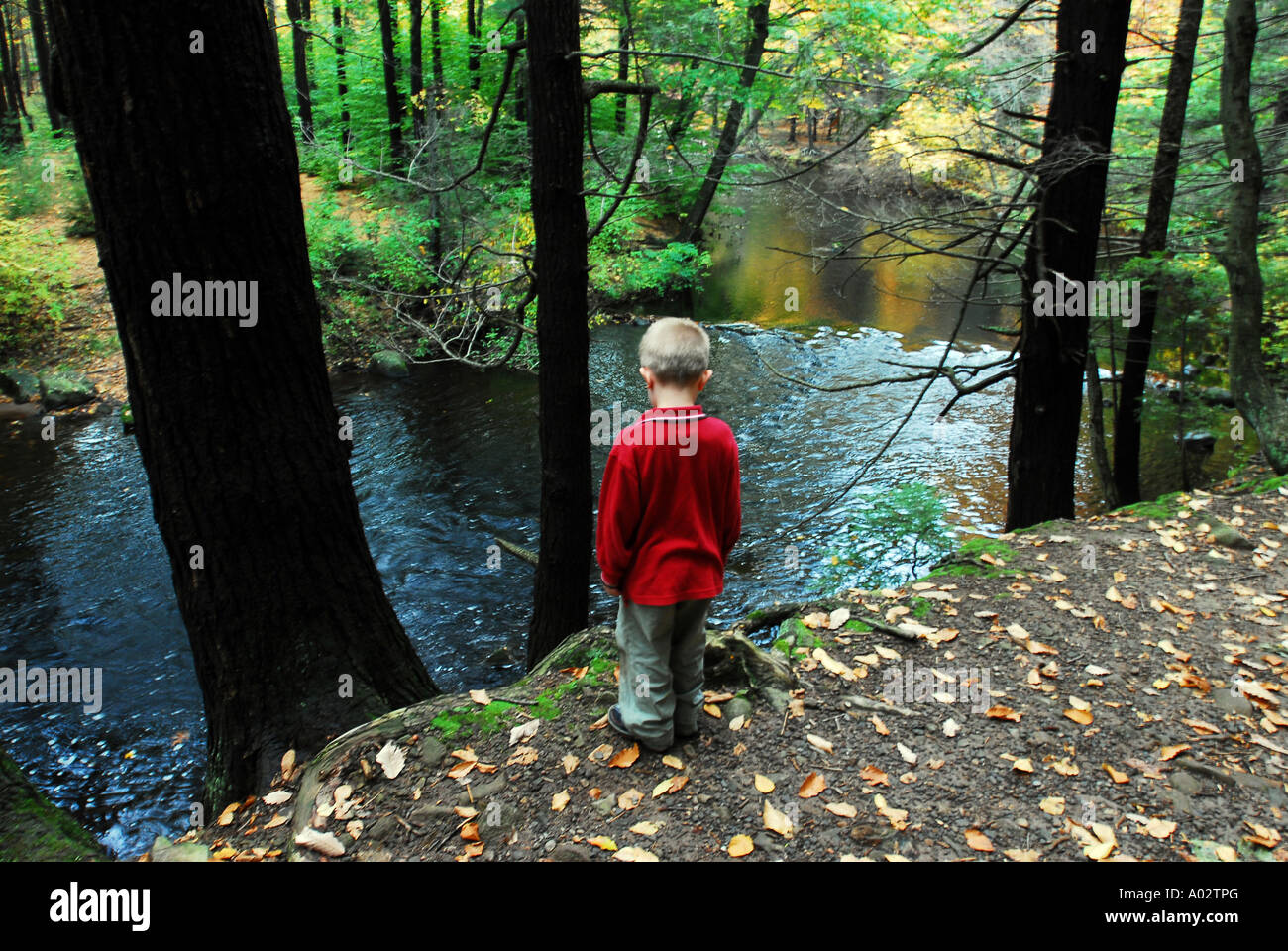 Bambino esplorare lungo il sentiero escursionistico con fogliame di autunno nel New England Foto Stock