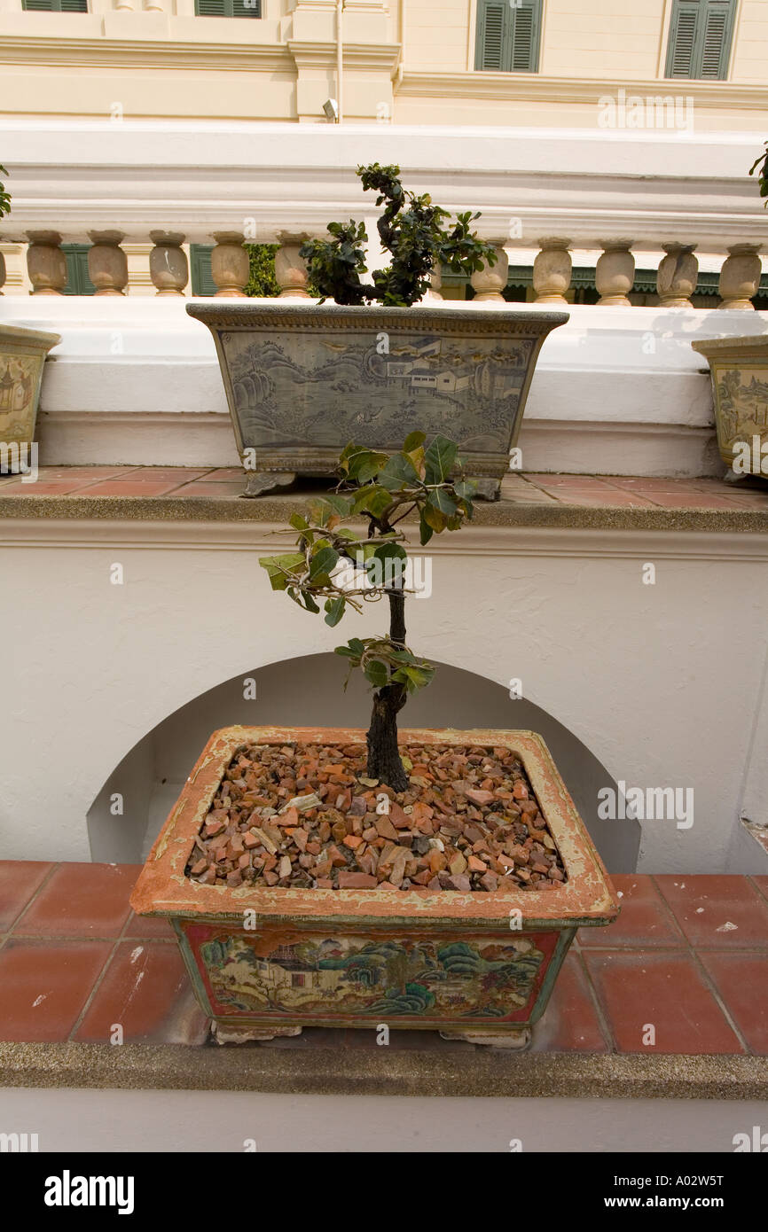 Alberi di bonsai presso il Grand Palace Wat Phra Kaeo, Bangkok in Thailandia. Foto Stock