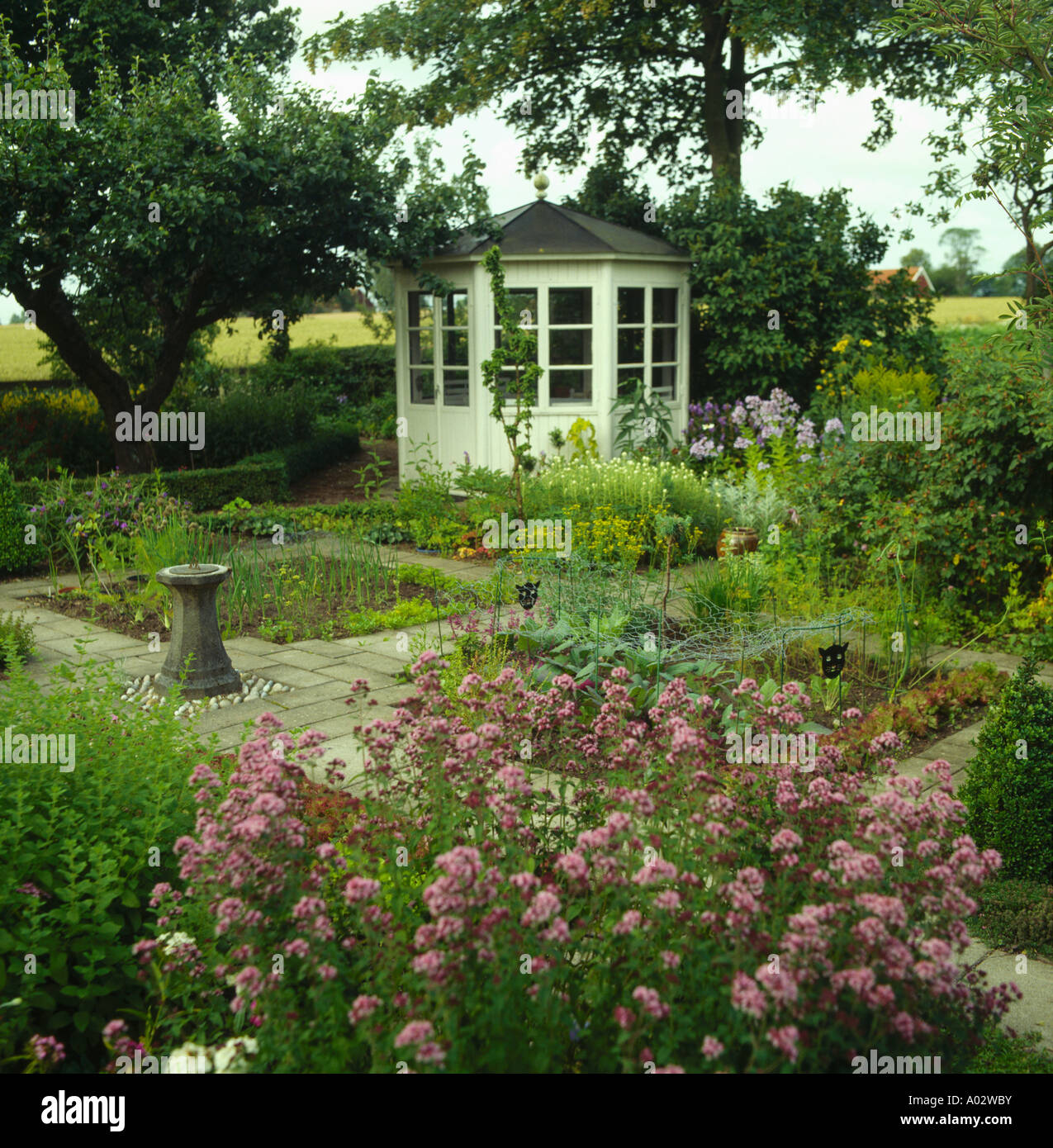 Paese giardino in estate con il rosa piante perenni e summerhouse con vista dei campi Foto Stock