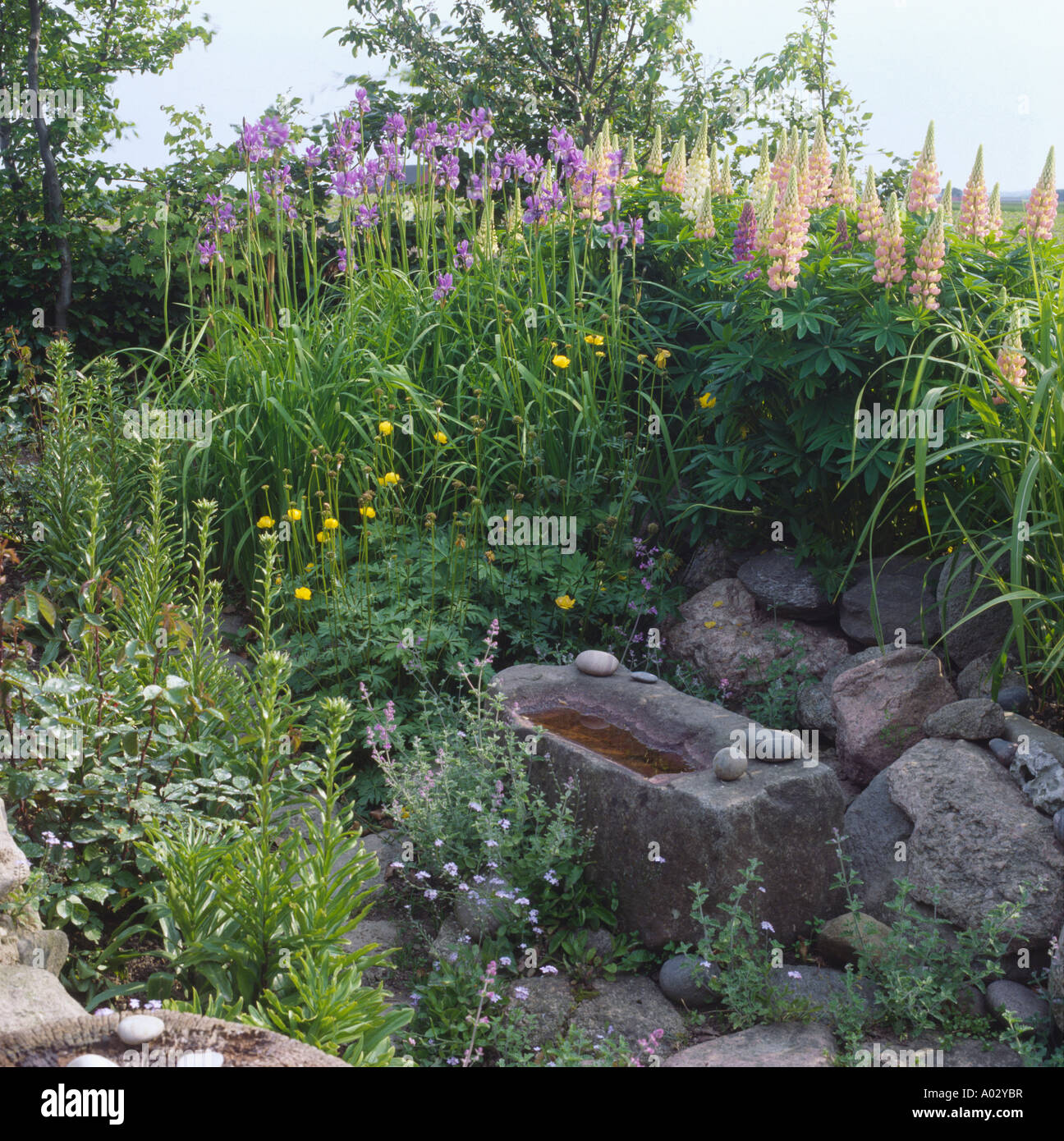 Piccola pietra piscina in estate confine di iris blu e rosa di lupini dolci Foto Stock