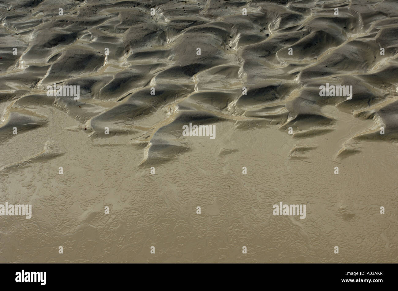 Modello di fango vicino a un letto di ruscello nel deserto Bisti una zona arida nei quattro angoli regione del New Mexico. Fotografia digitale Foto Stock