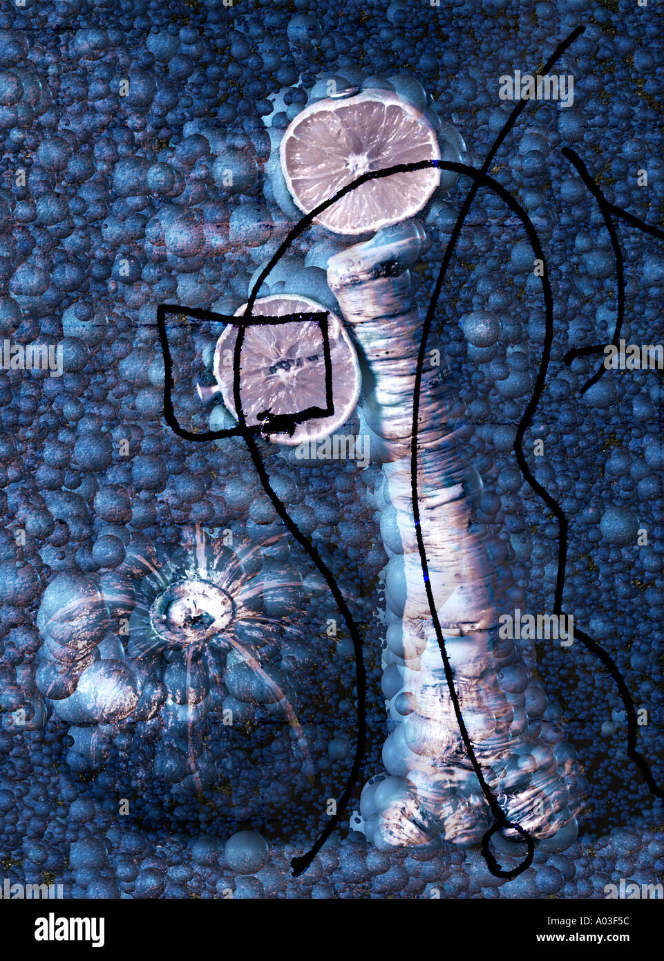 Un grapcic su uno sfondo di bolle blu vegetale e still life Foto Stock