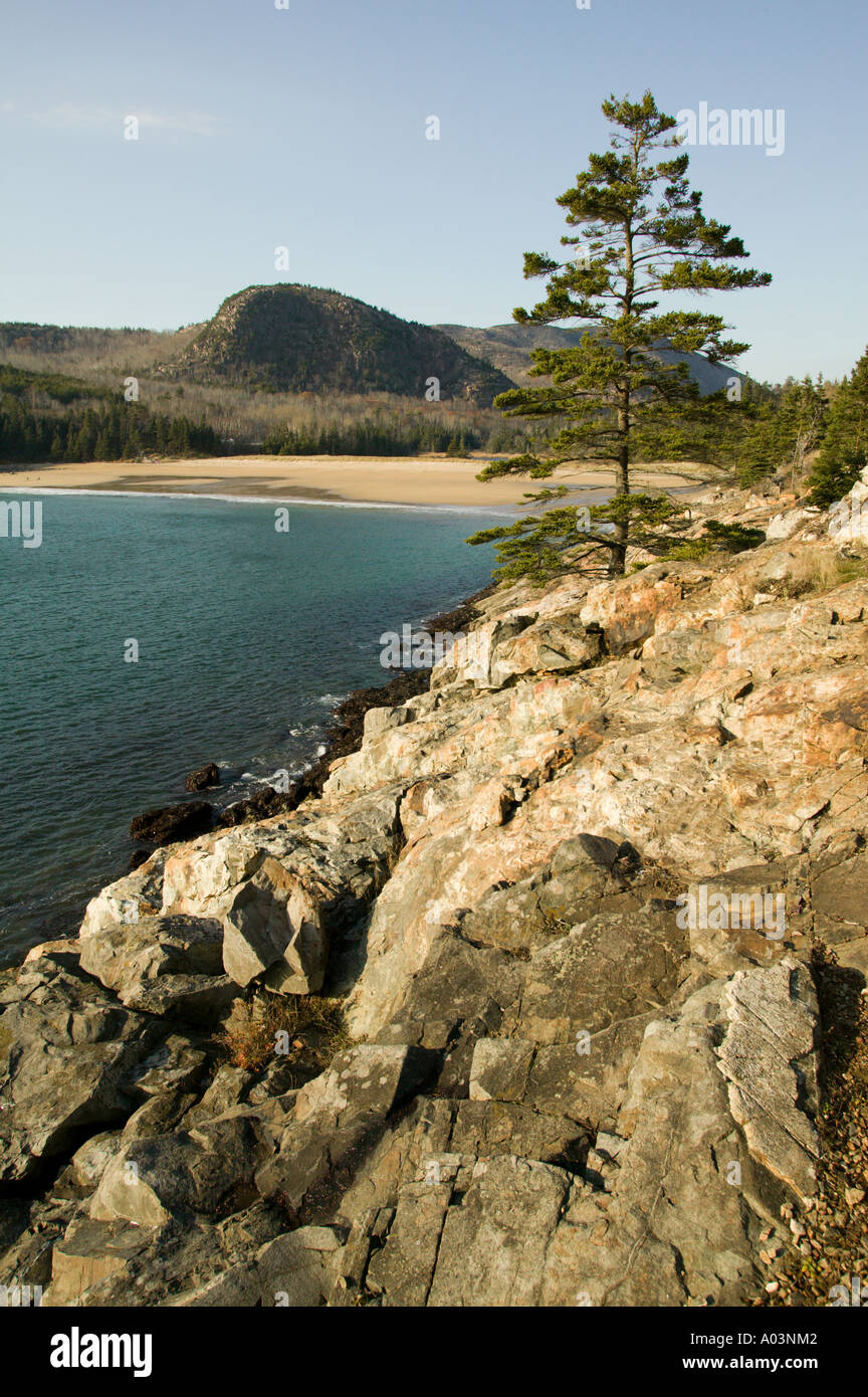 Parco Nazionale di Acadia Mount Desert Island Maine Foto Stock