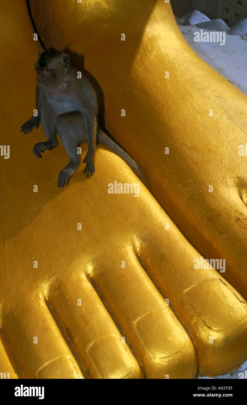 Monkey ai piedi di una statua di Budda statuetta vicino a Hua Hin Tailandia Foto Stock