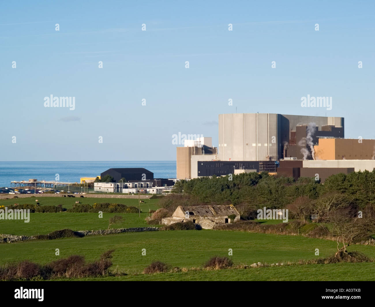 WYLFA CENTRALE NUCLEARE sulla costa nord di Anglesey Cemaes Anglesey Wales UK Foto Stock