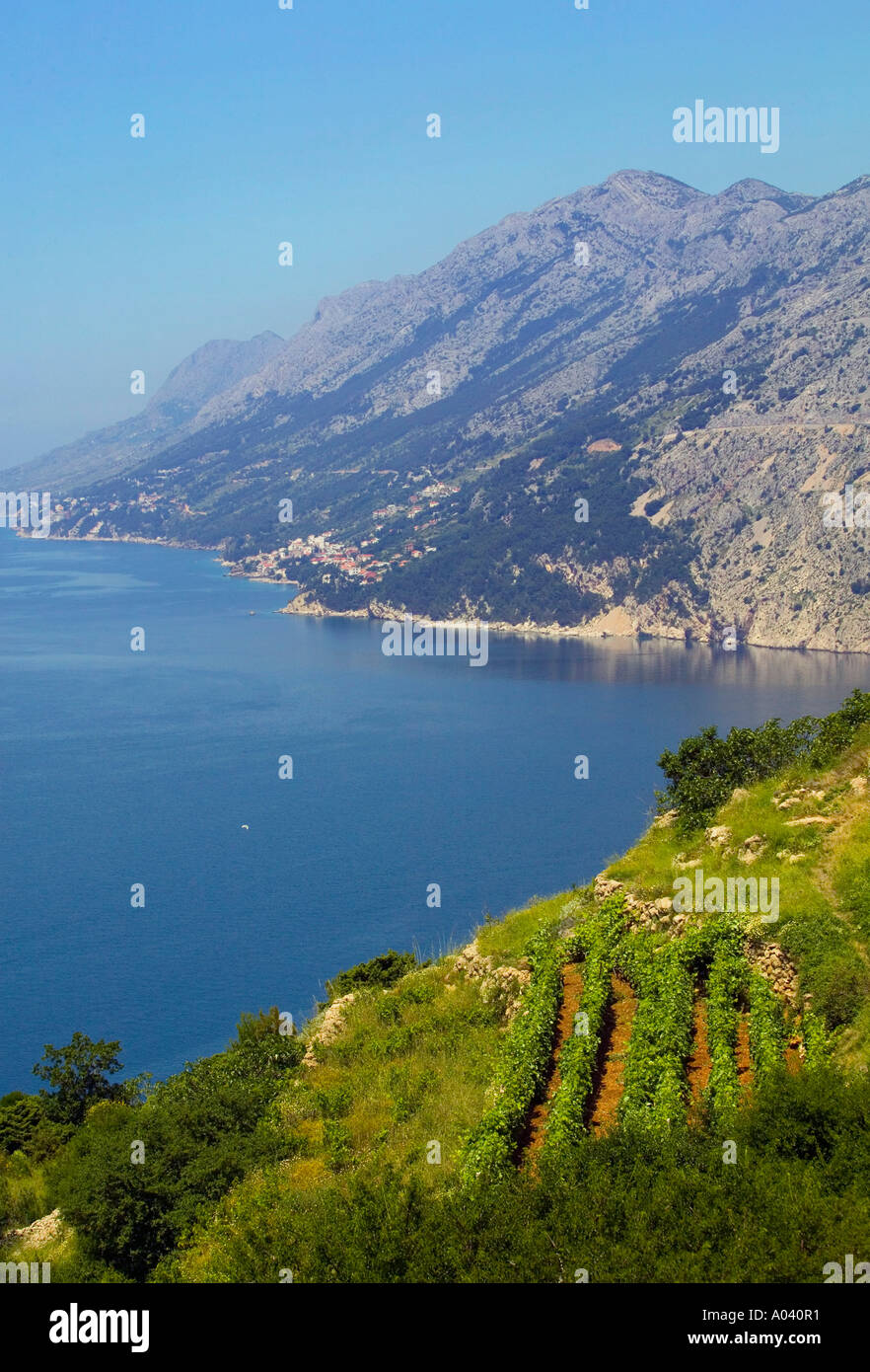 Costa dalmata croazia immagini e fotografie stock ad alta risoluzione